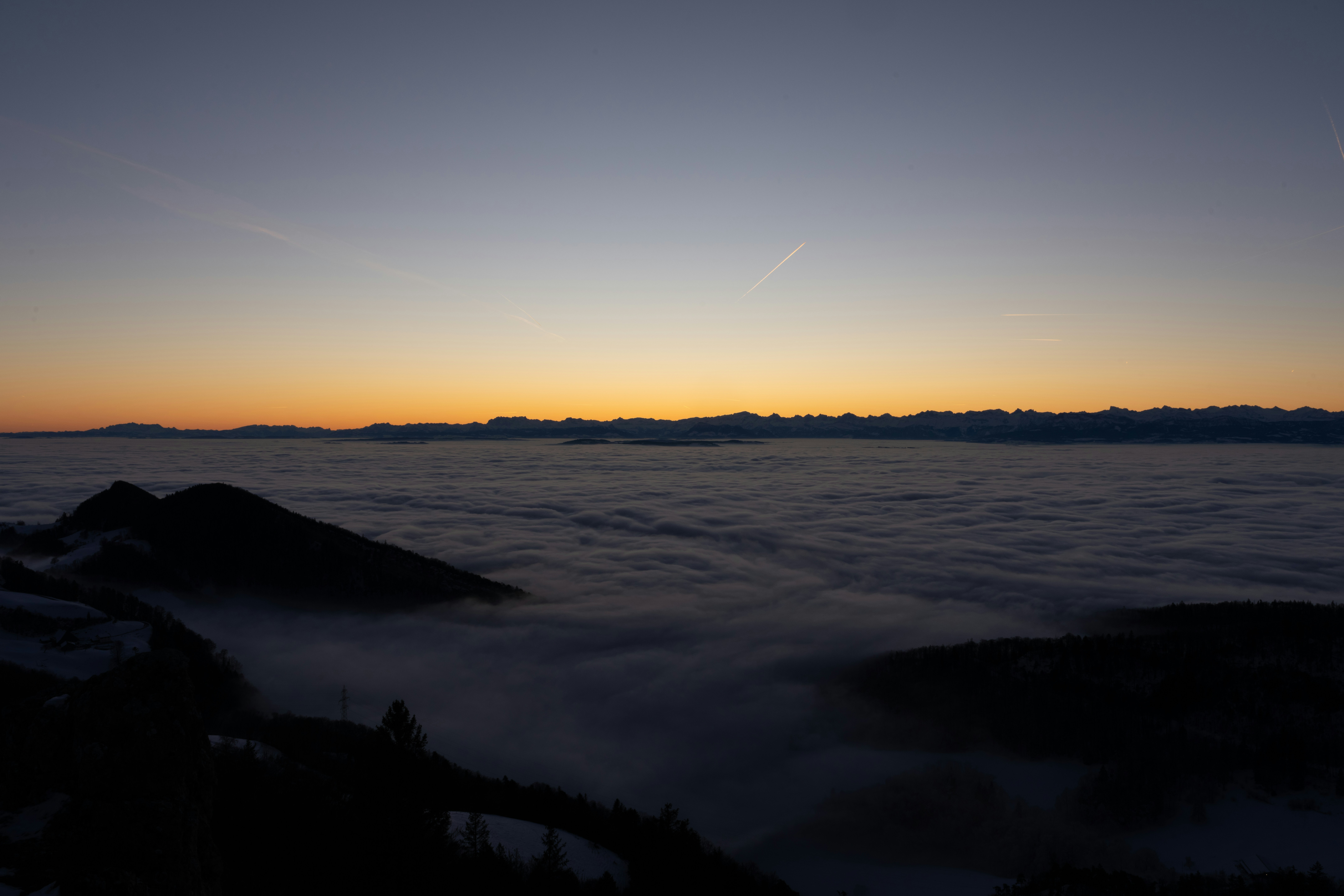 Photo by purzlbaum