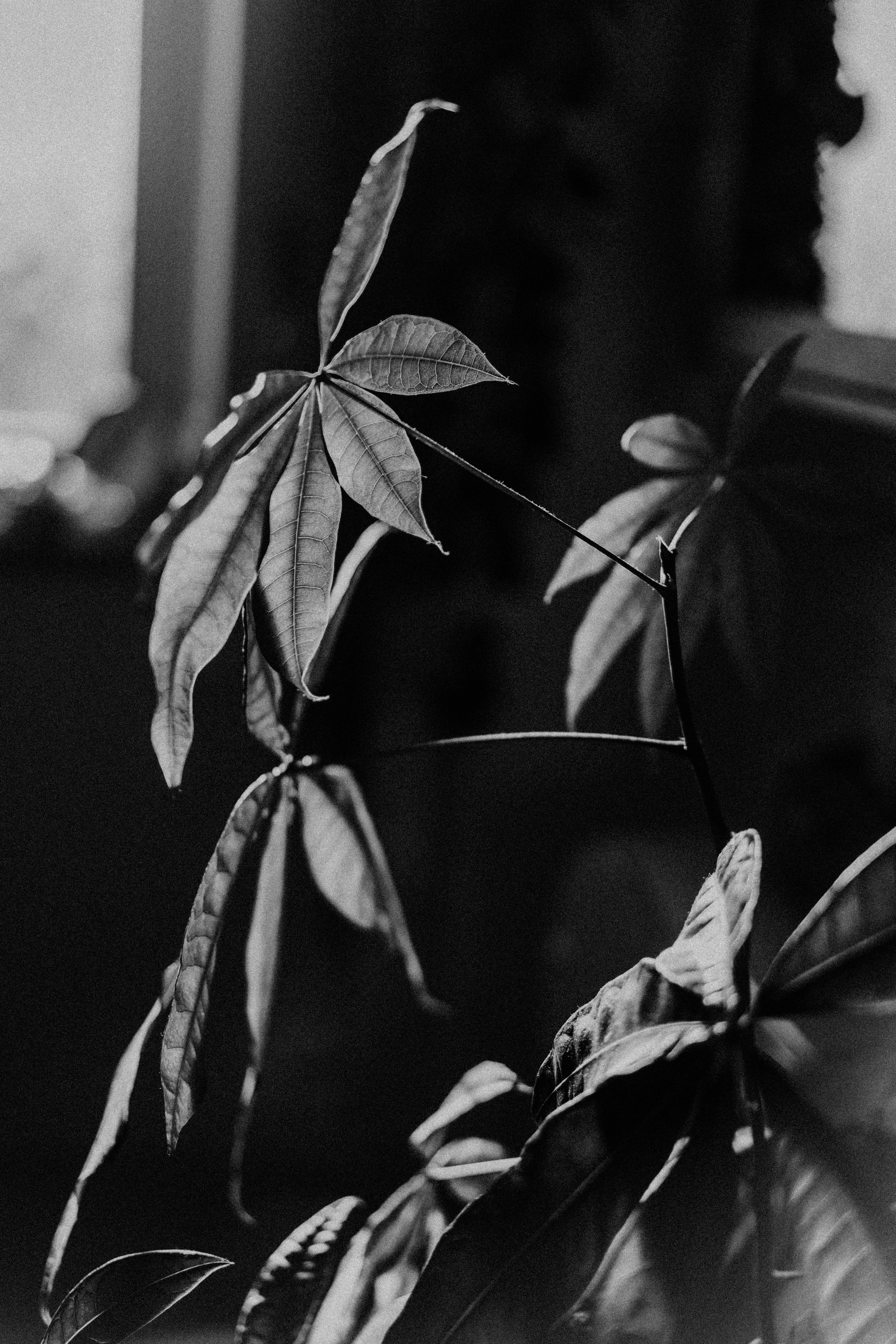 Photo by philhearing