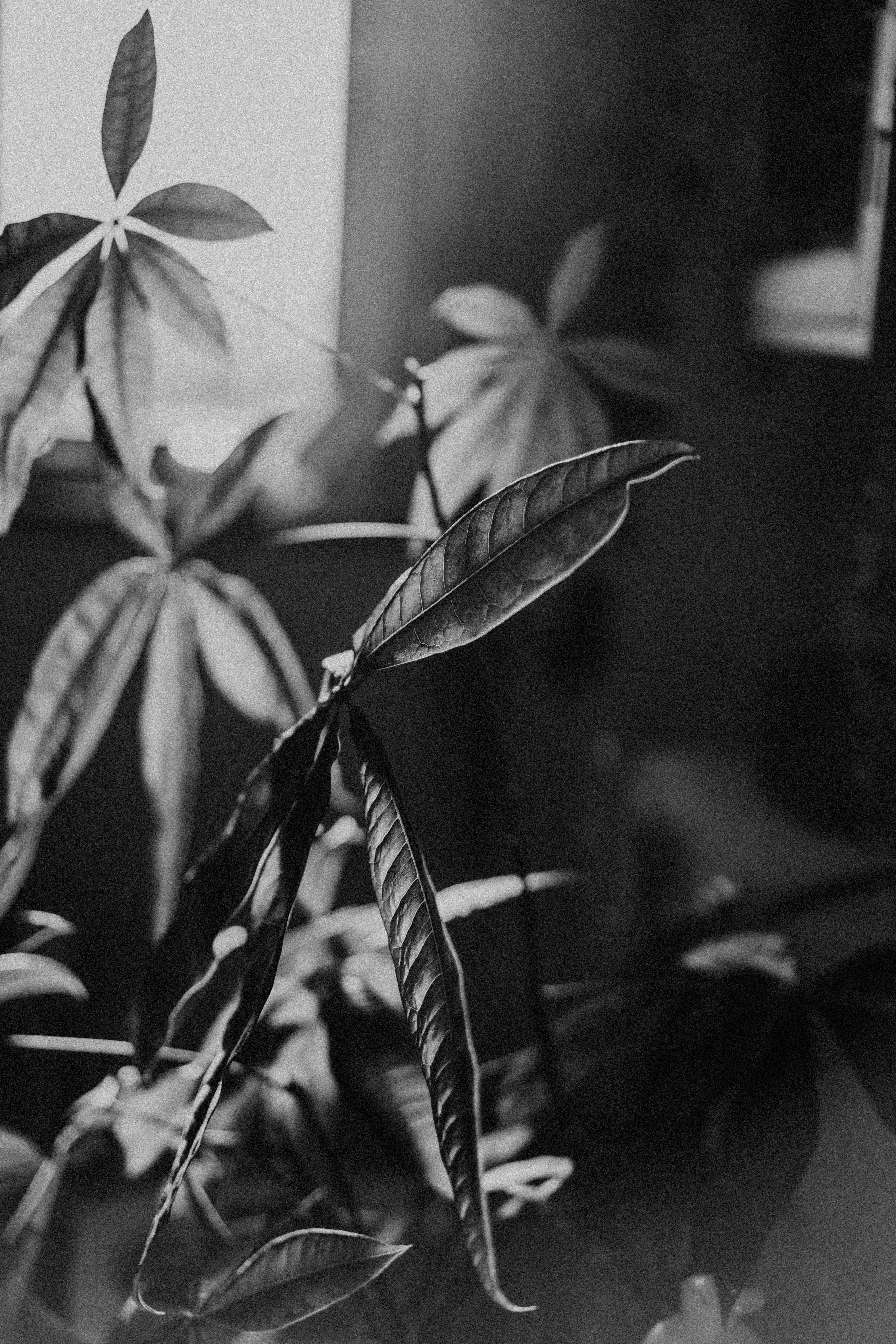 Photo by philhearing