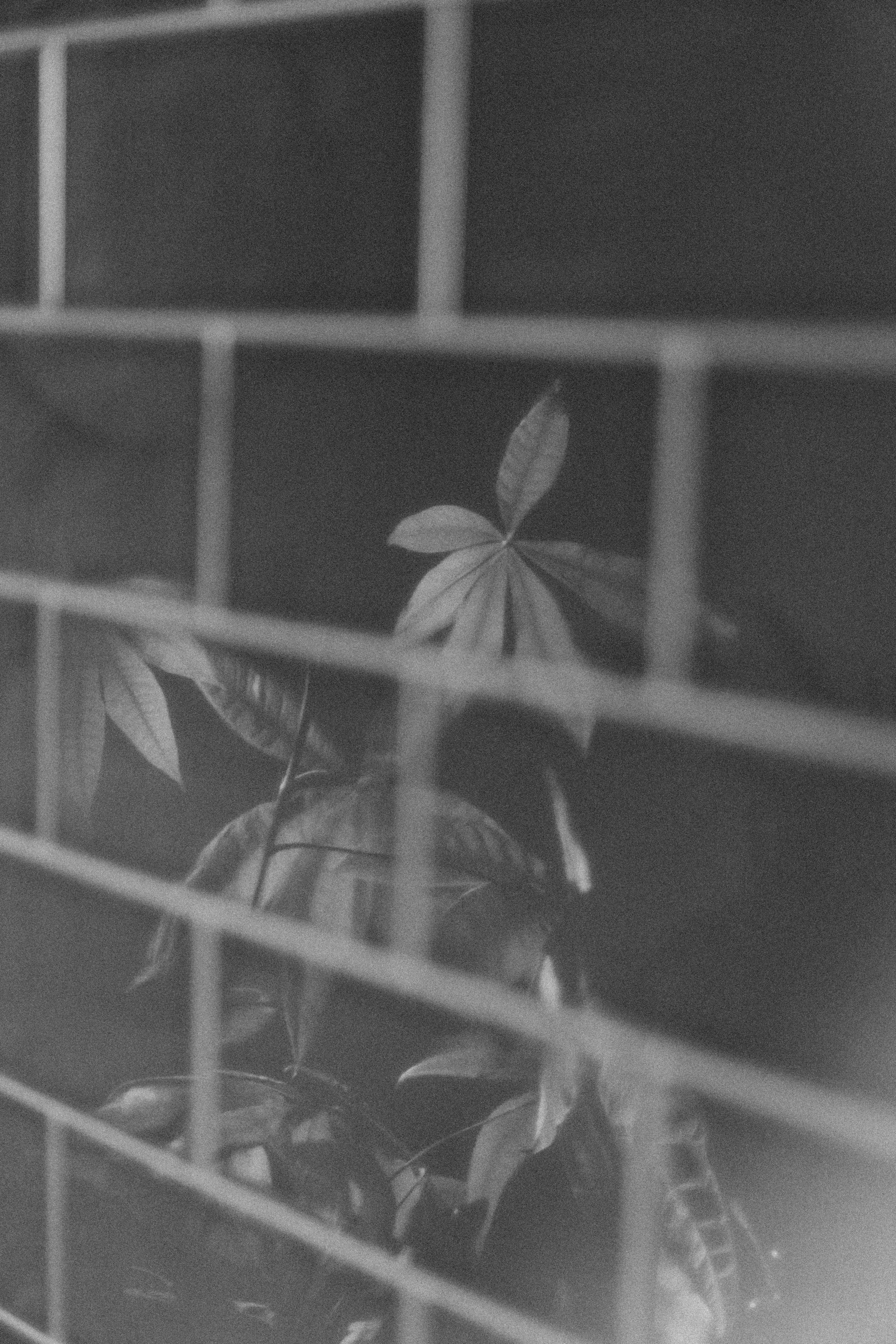 Photo by philhearing