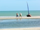A couple of people walking along a beach next to the ocean