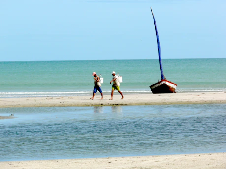 A couple of people walking along a beach next to the ocean