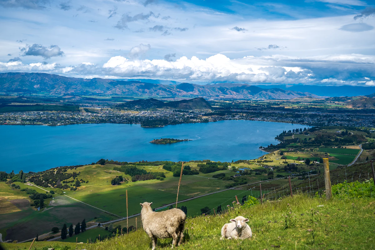 New Zealand: Auckland to Wellington Grand Journey