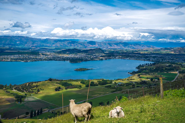 New Zealand: Auckland to Wellington Highlights