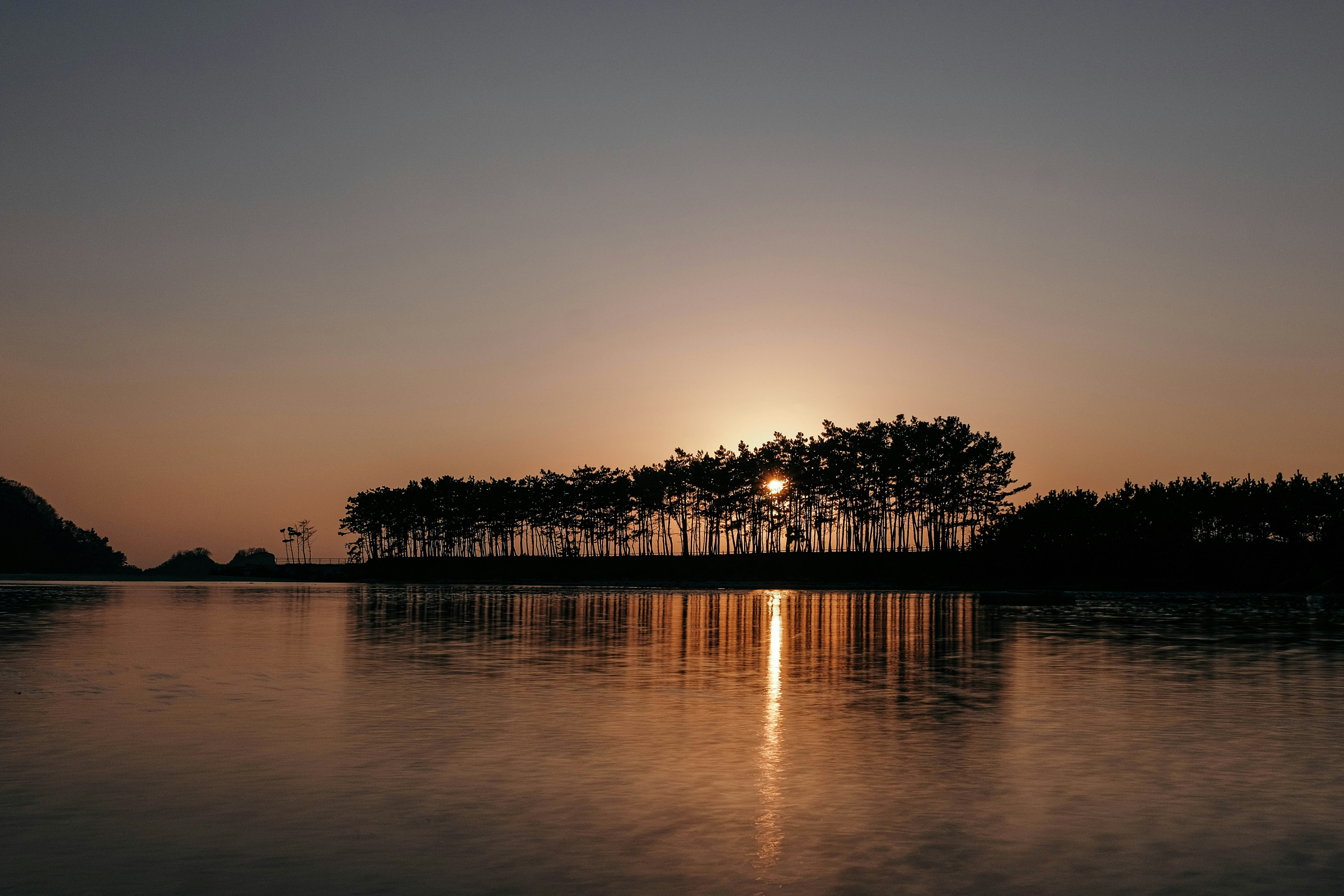 Photo by insungpandora