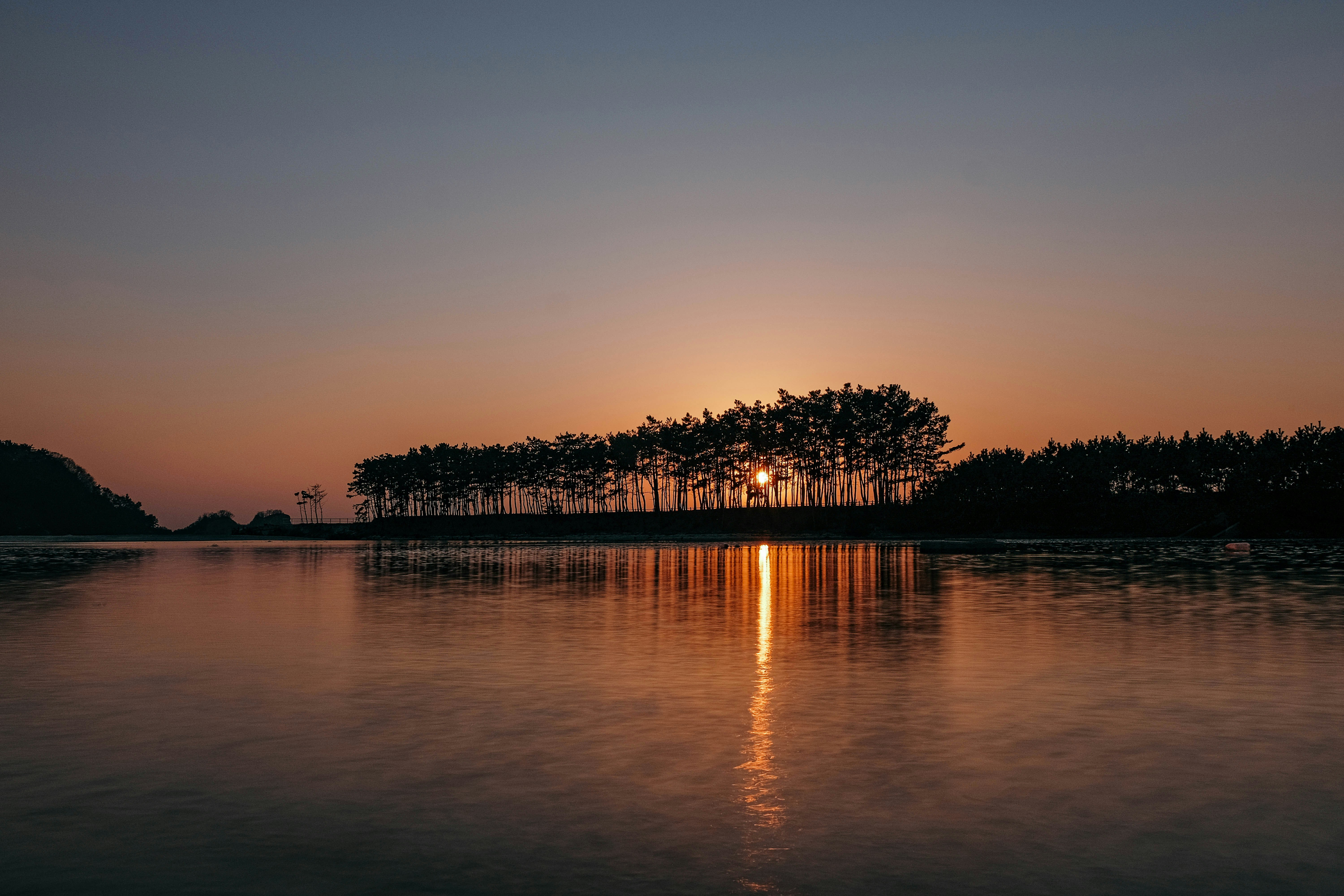 Photo by insungpandora