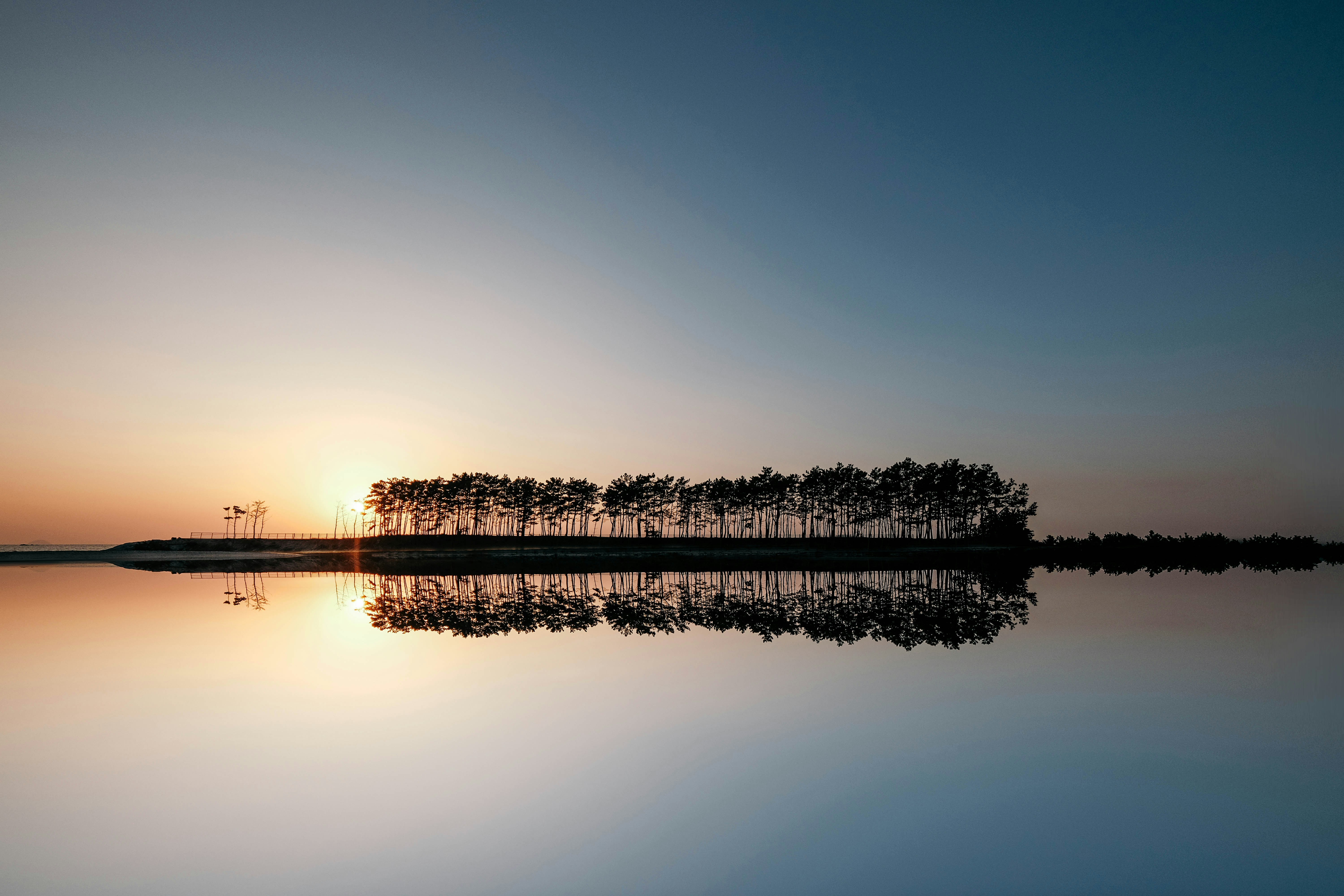 Photo by insungpandora