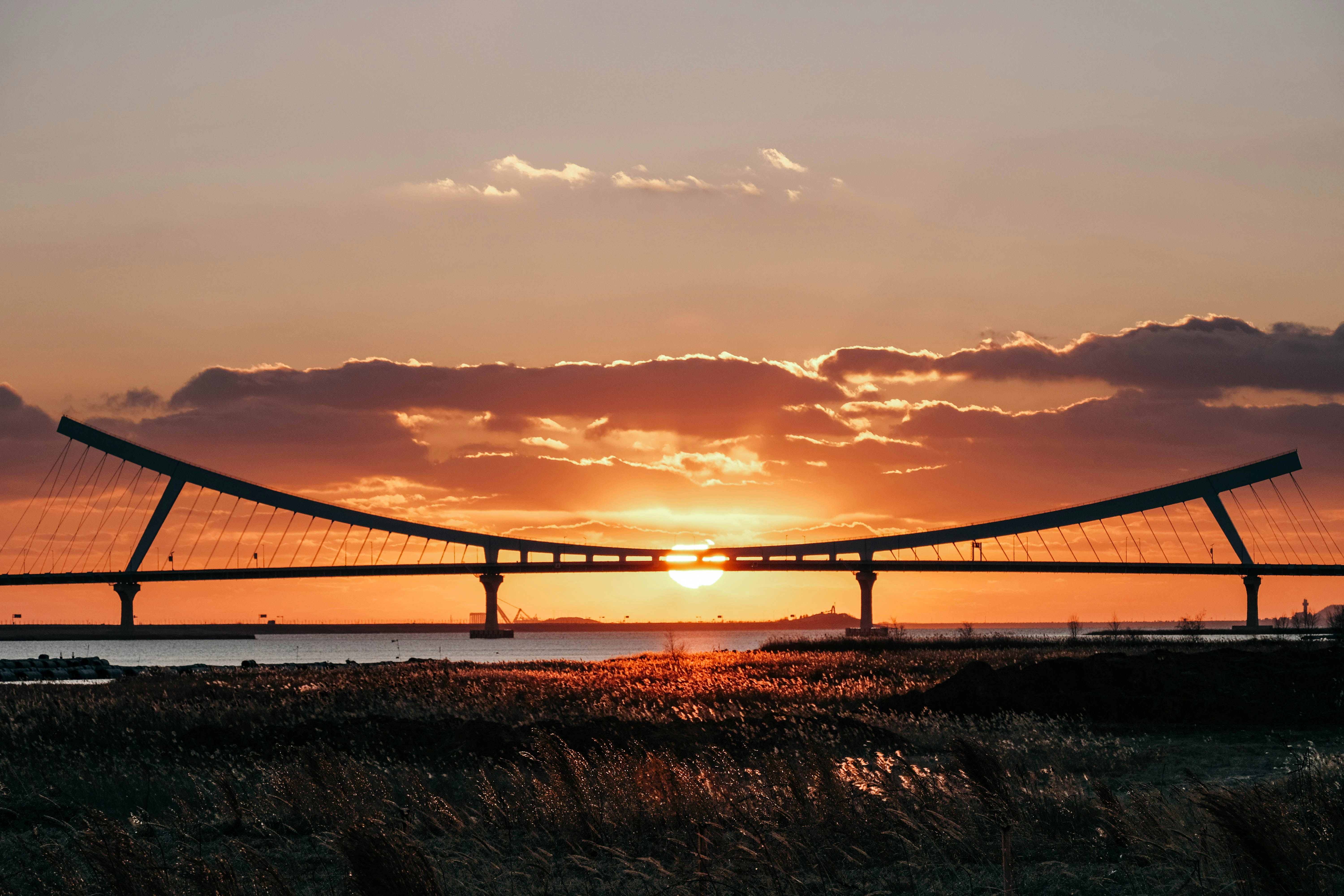 太陽は水域に架かる橋の後ろに沈んでいます