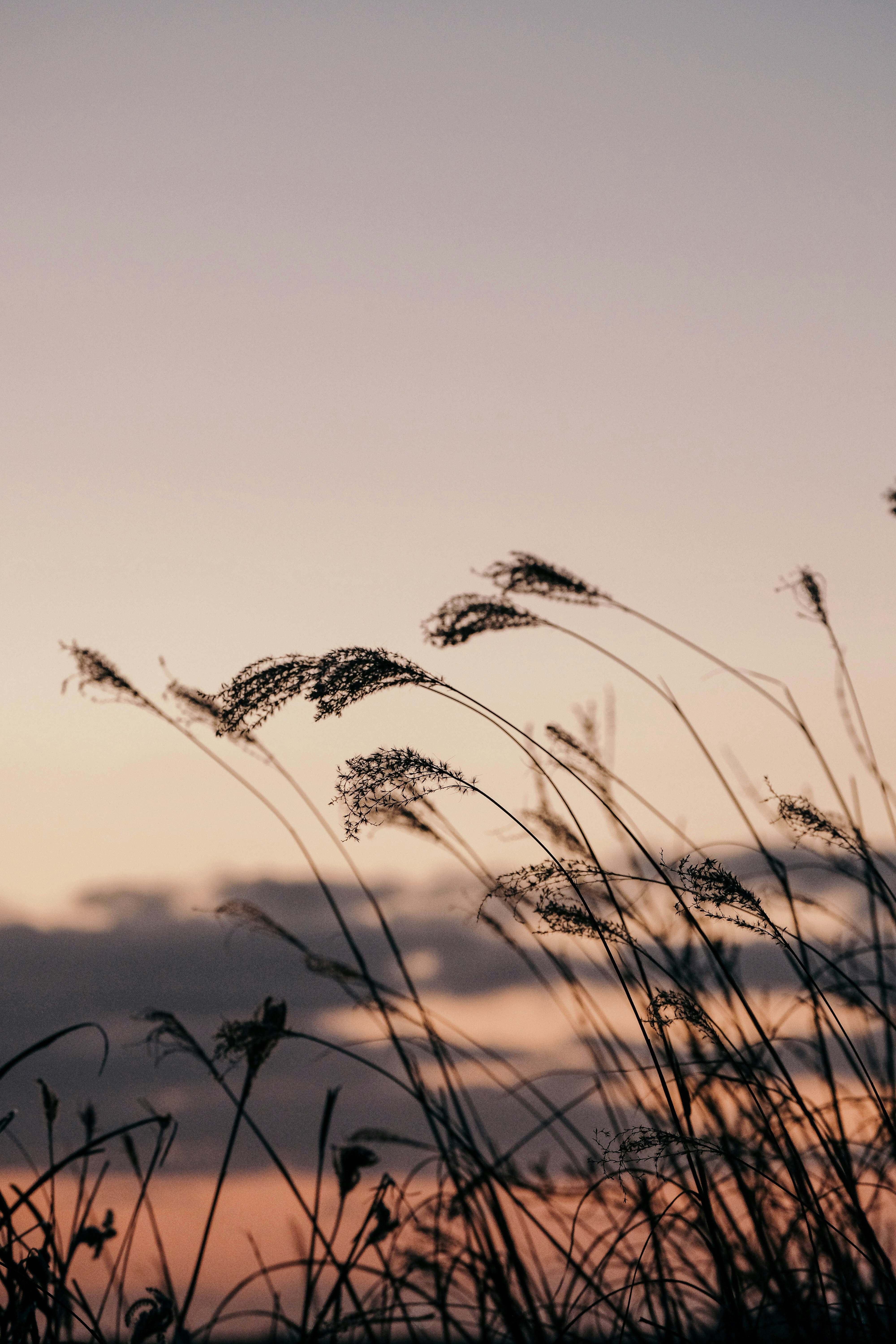 Photo by insungpandora