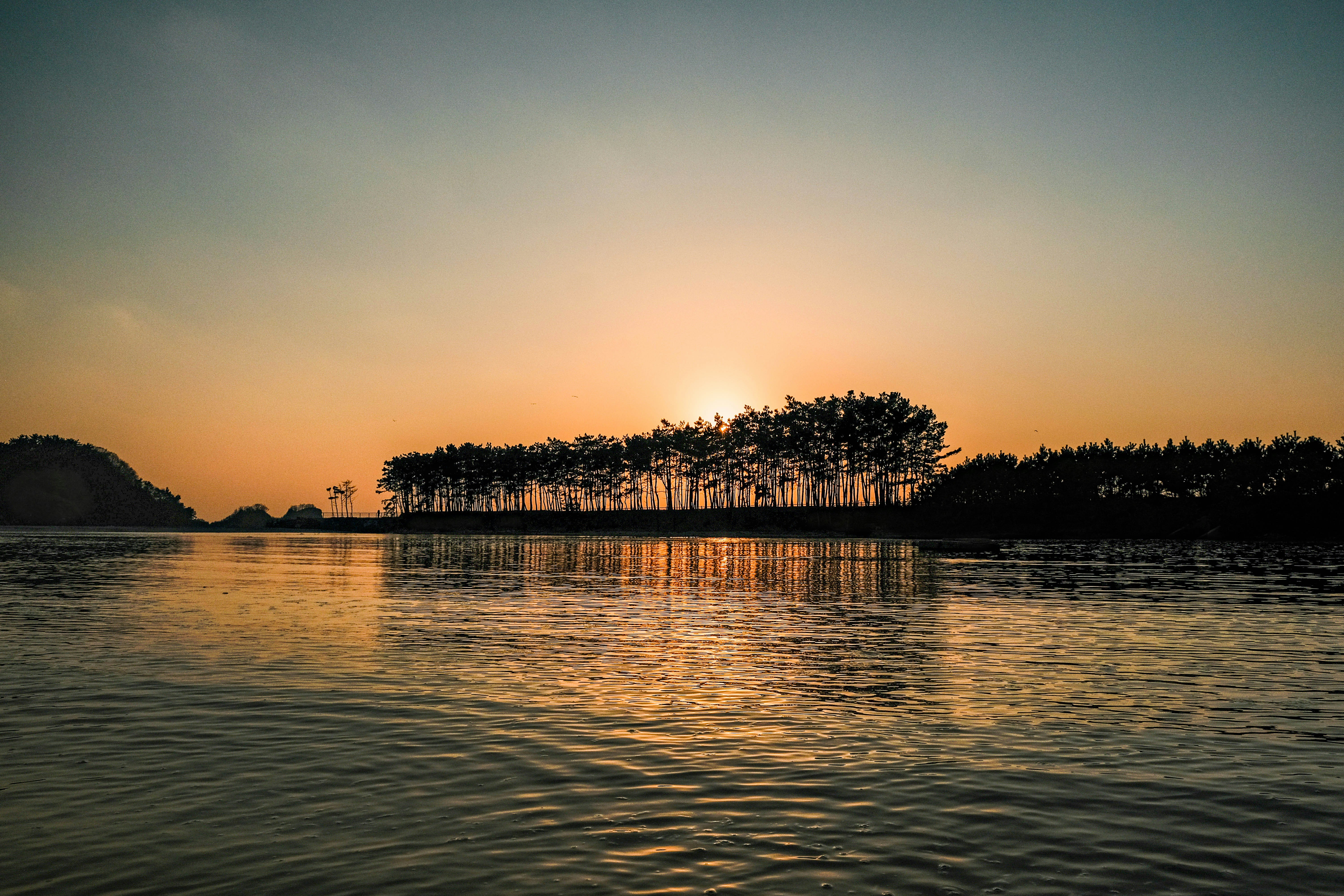 Photo by insungpandora