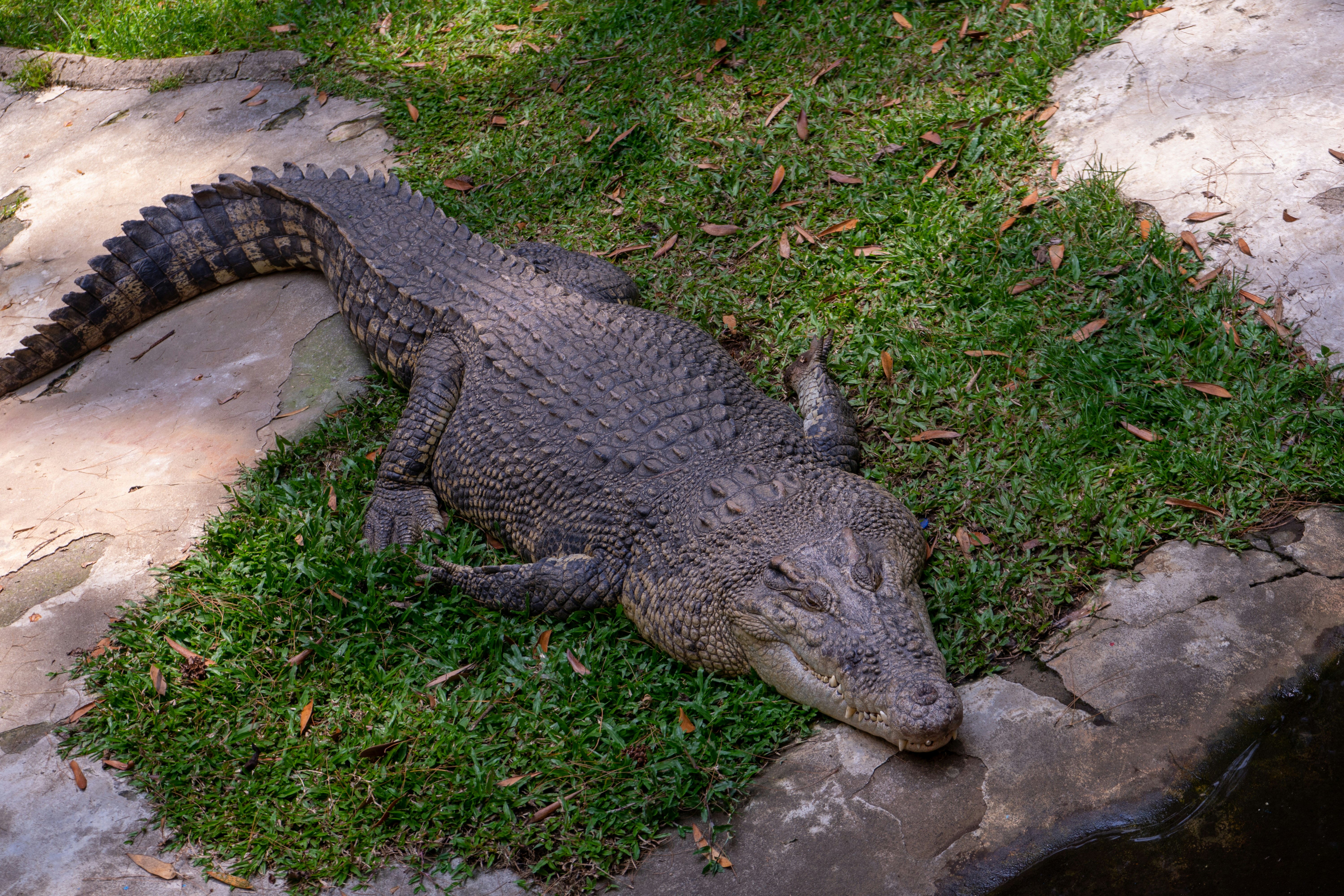 Photo by divarakasiwi