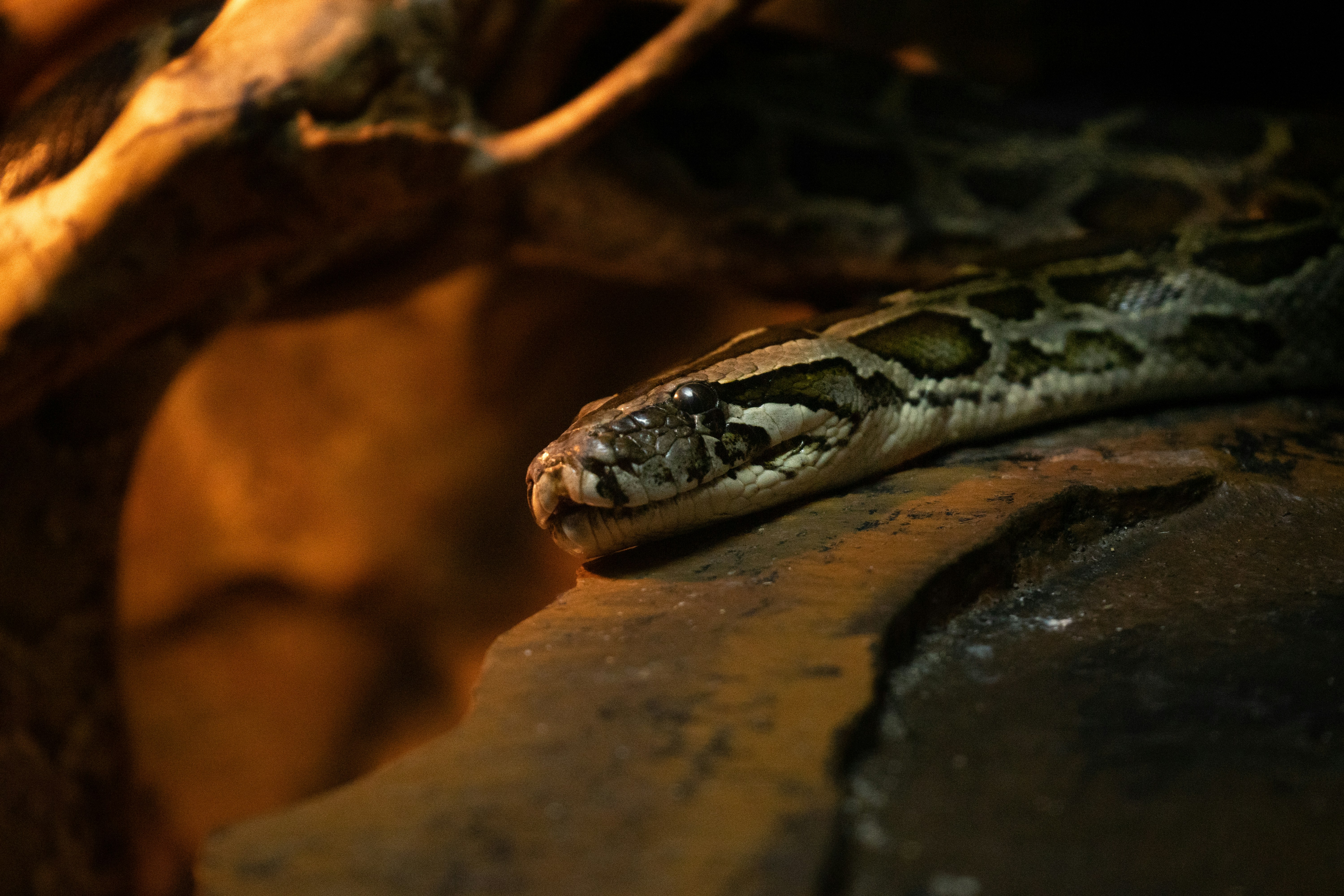 Photo by divarakasiwi