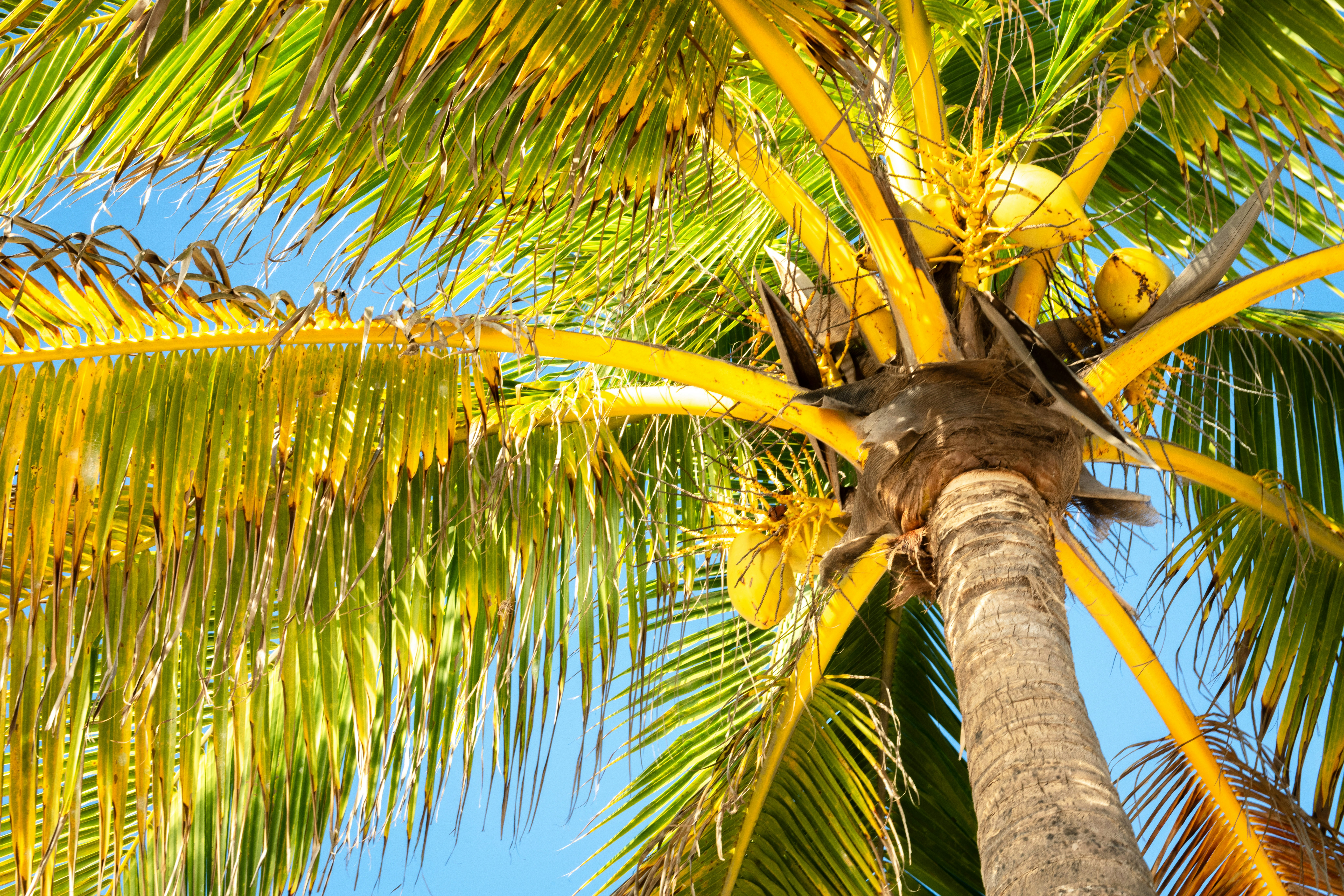 Photo by sriniunsplash