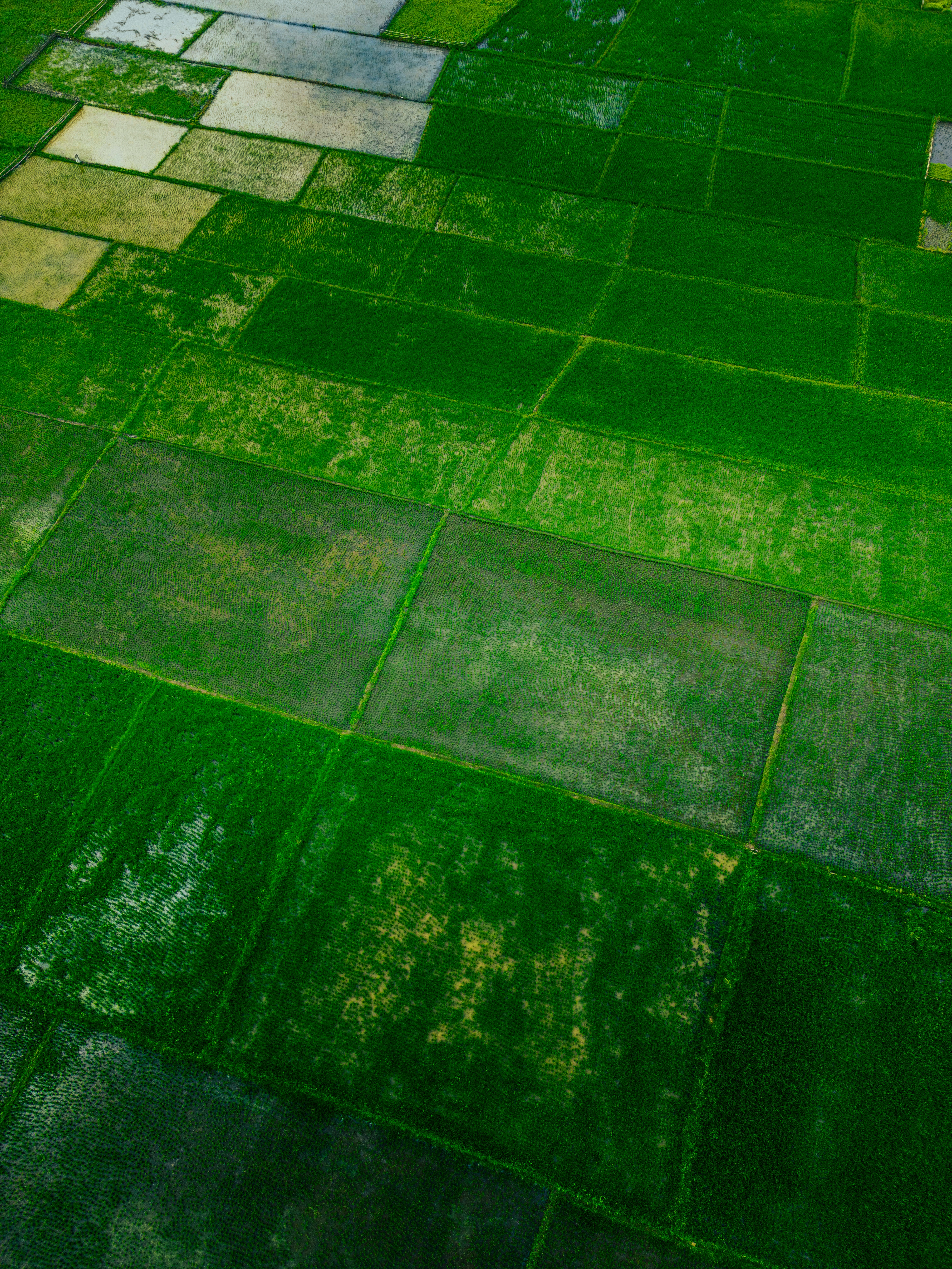 Photo by springsimon