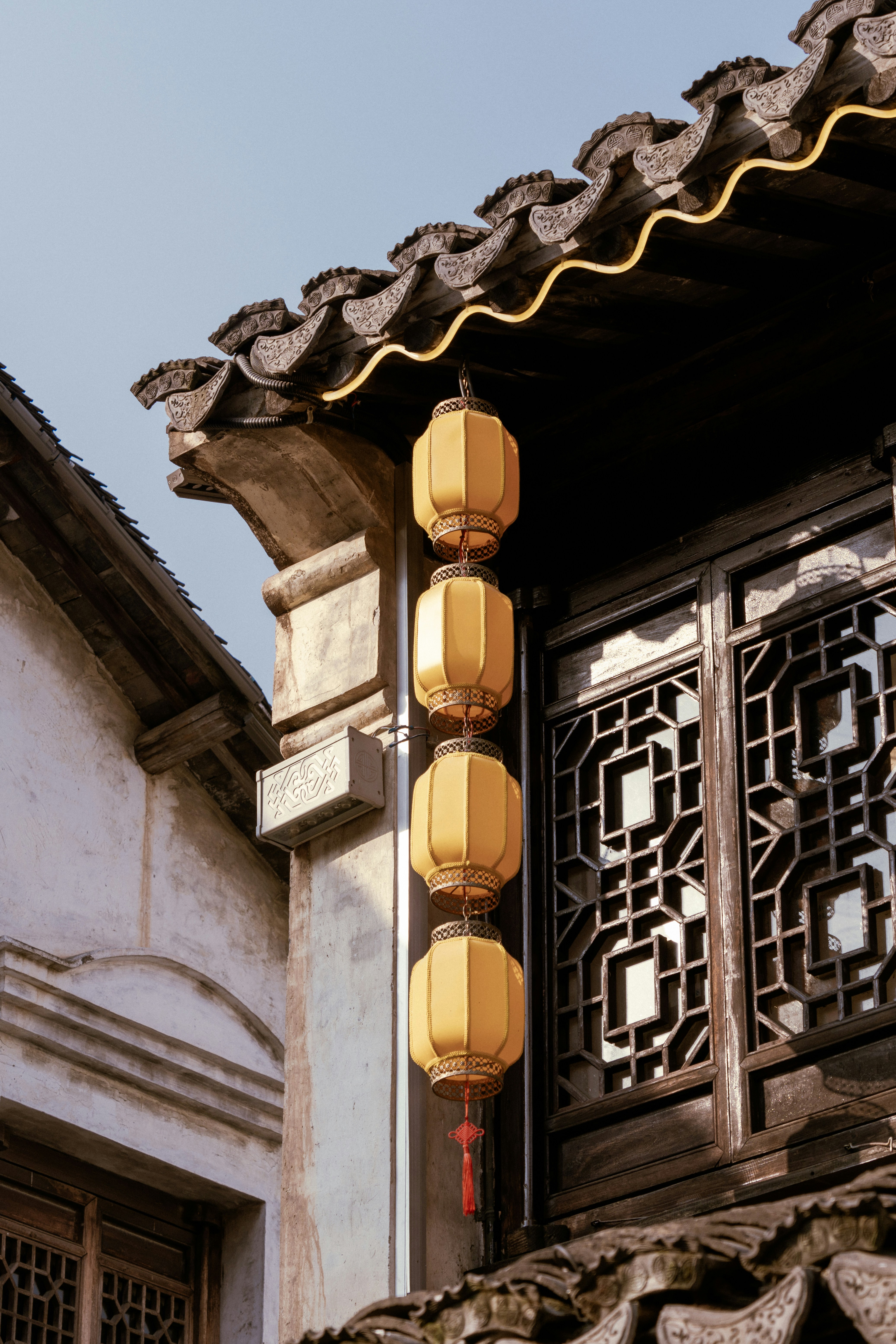 Photo by zhenyao_photo