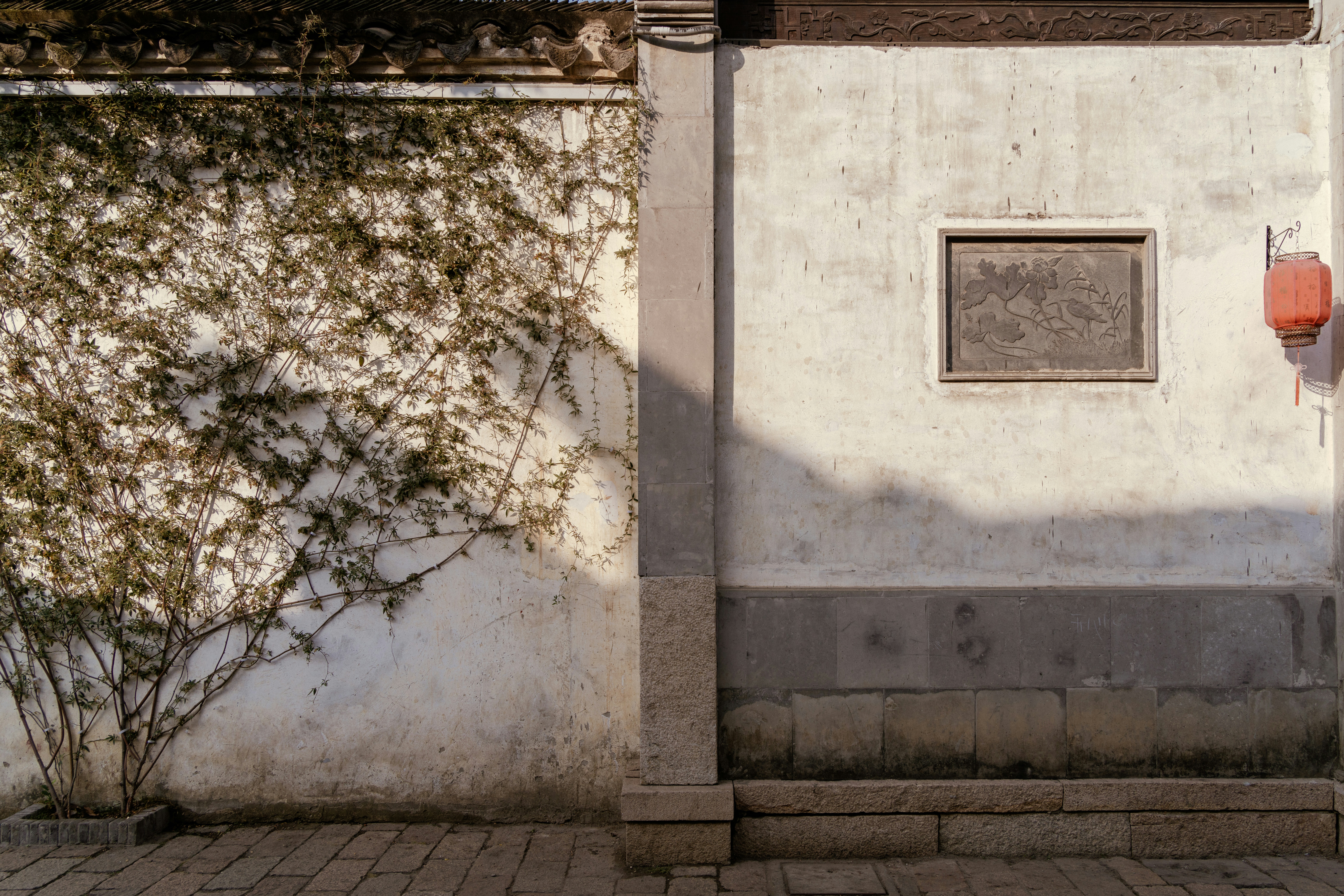 Photo by zhenyao_photo