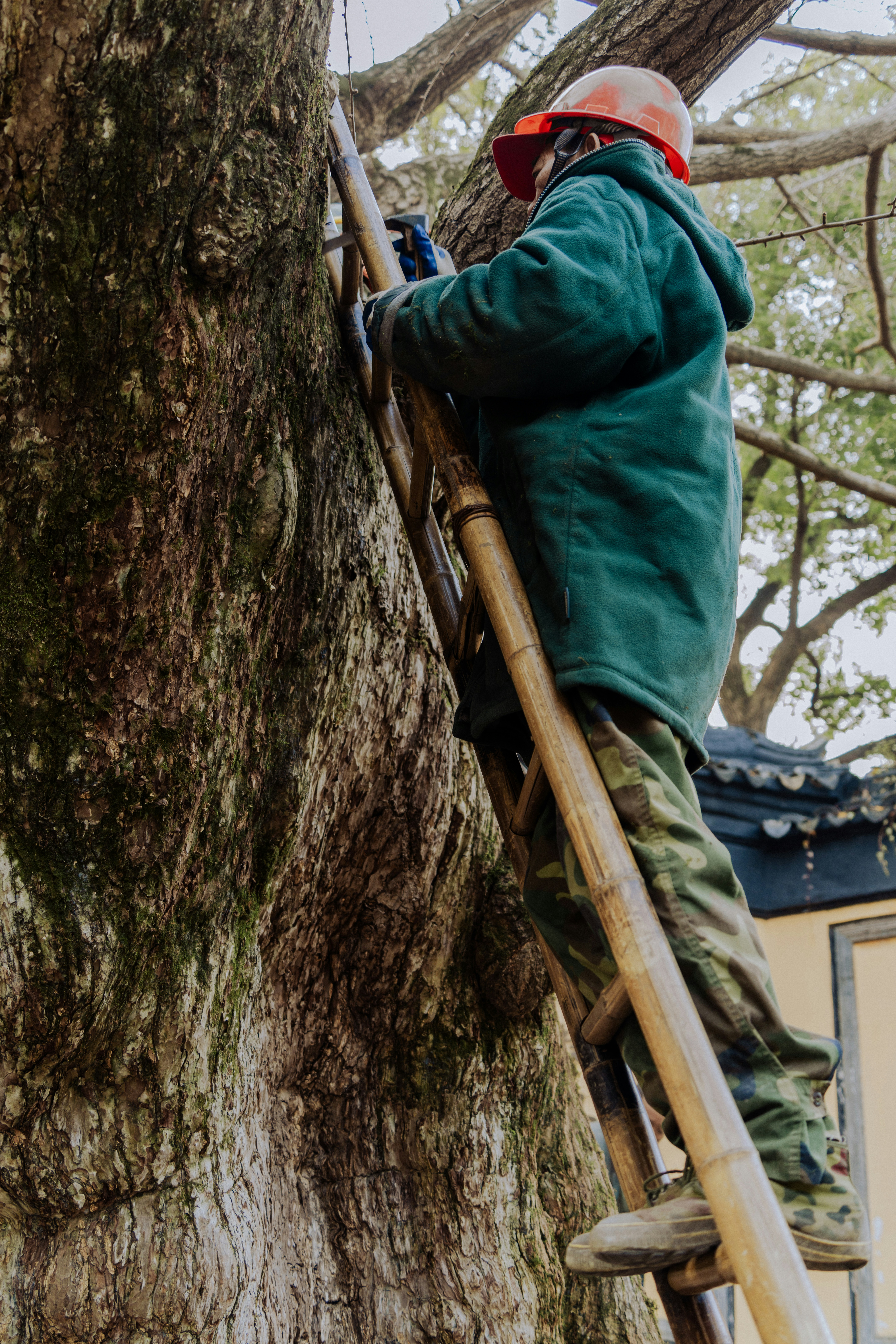 Photo by zhenyao_photo