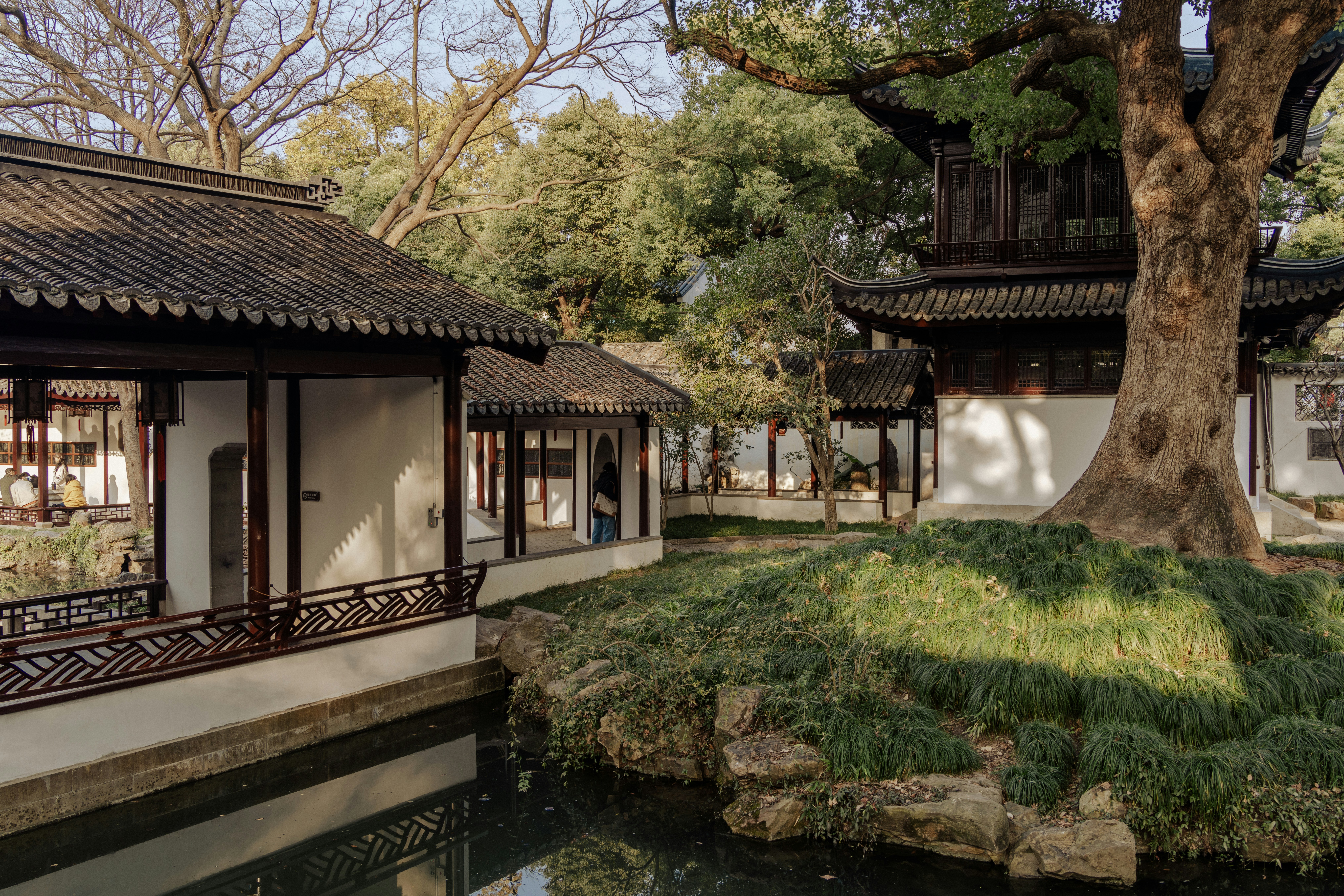 Photo by zhenyao_photo