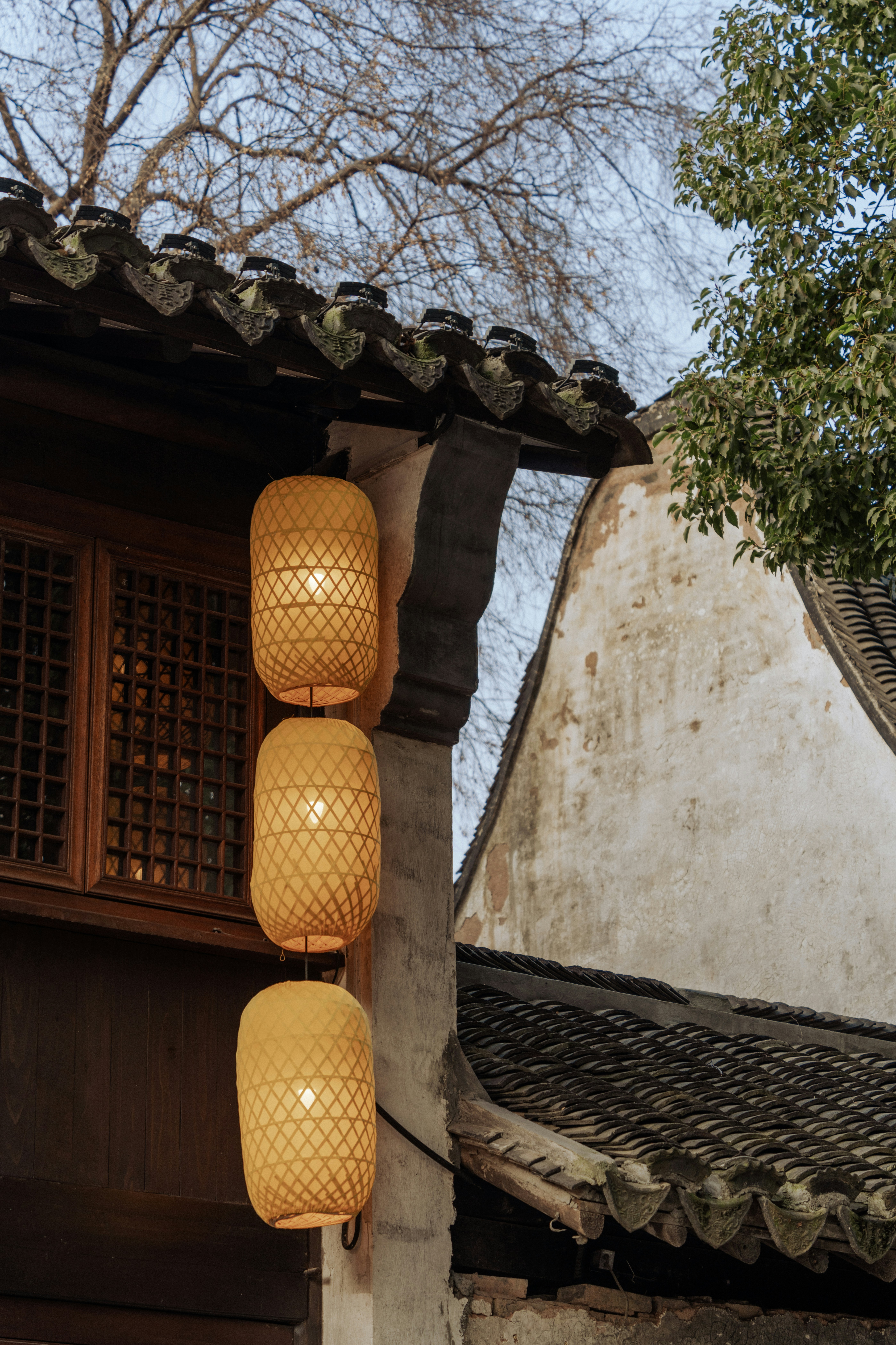 Photo by zhenyao_photo