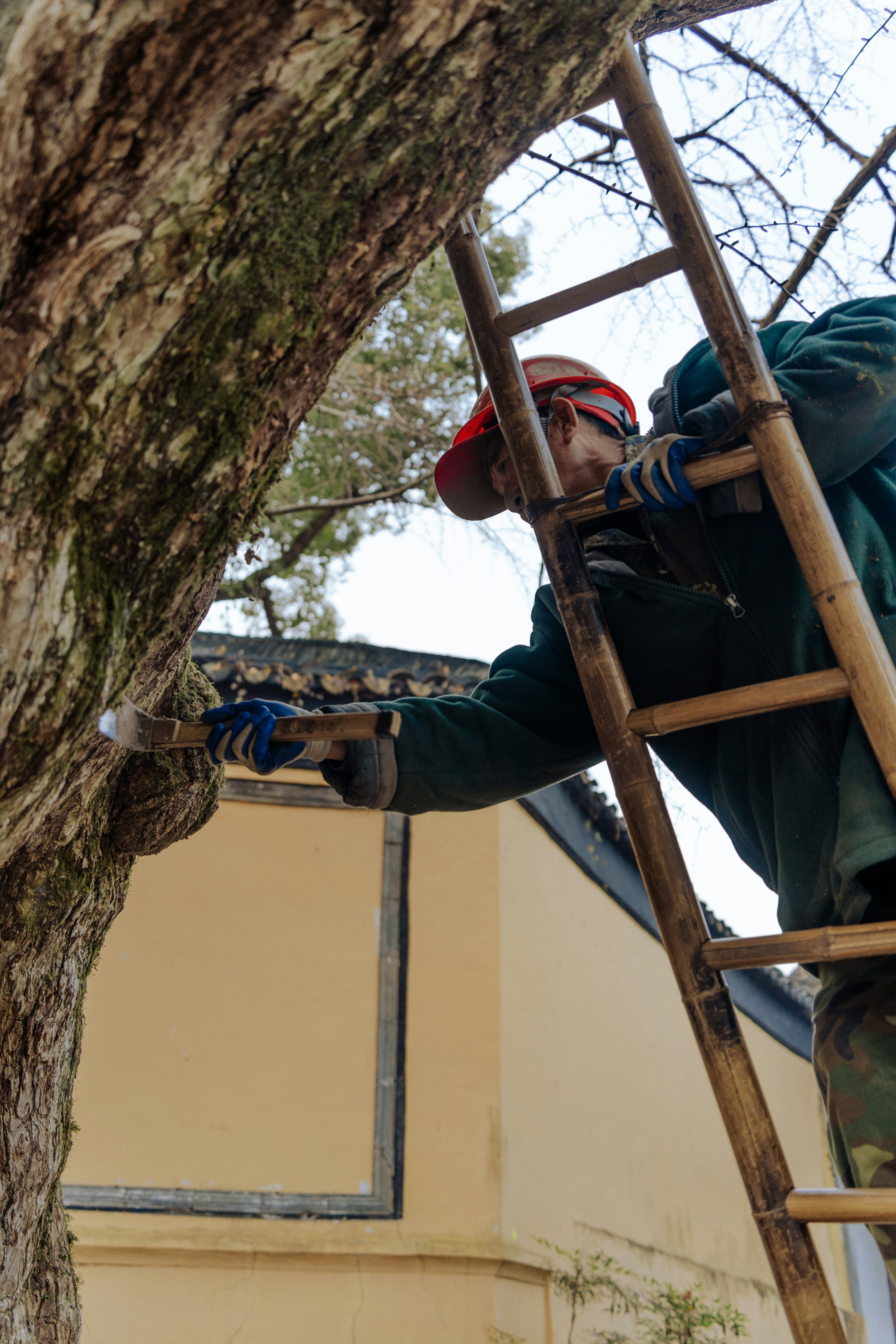 Photo by zhenyao_photo