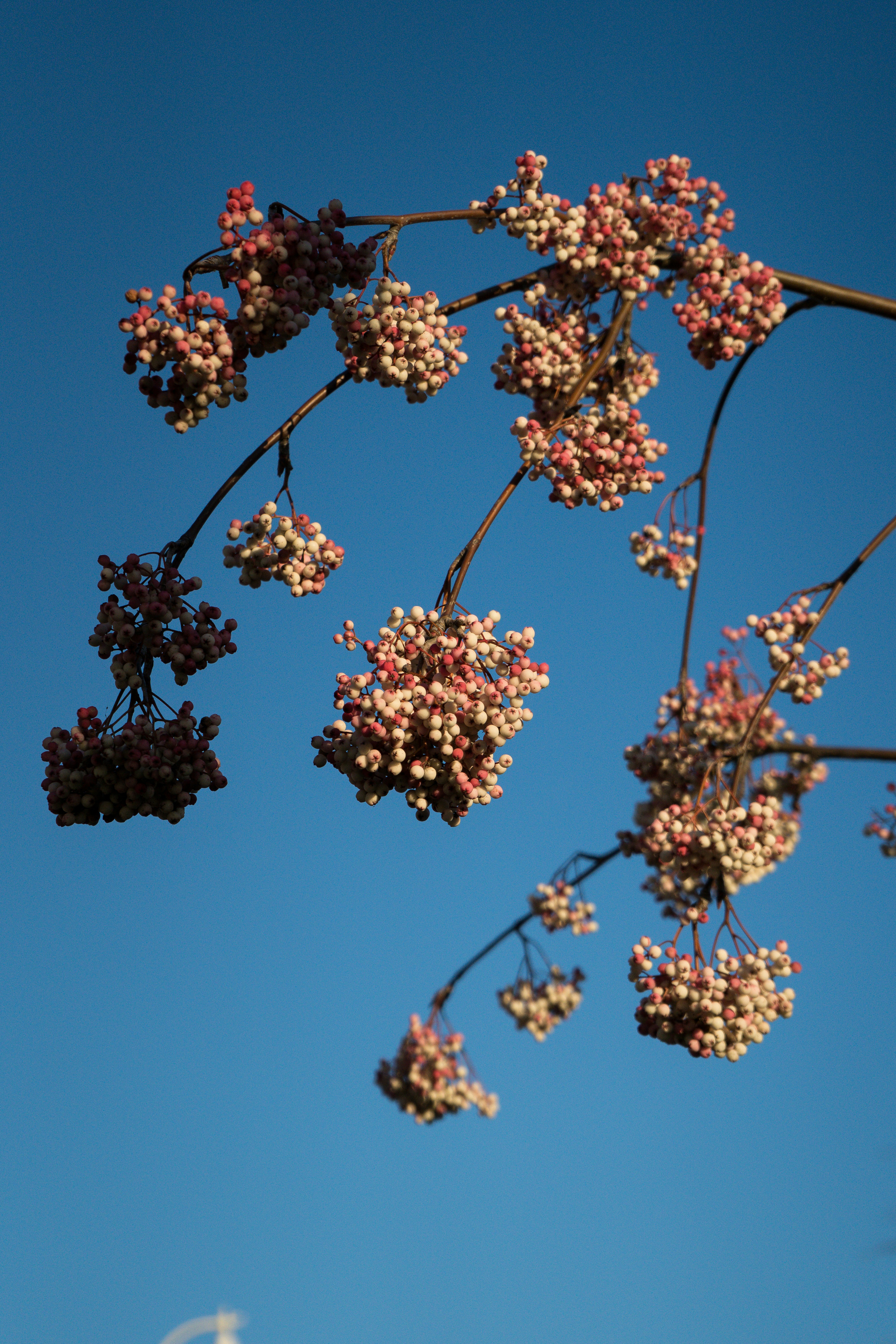 Photo by samuel_hagger