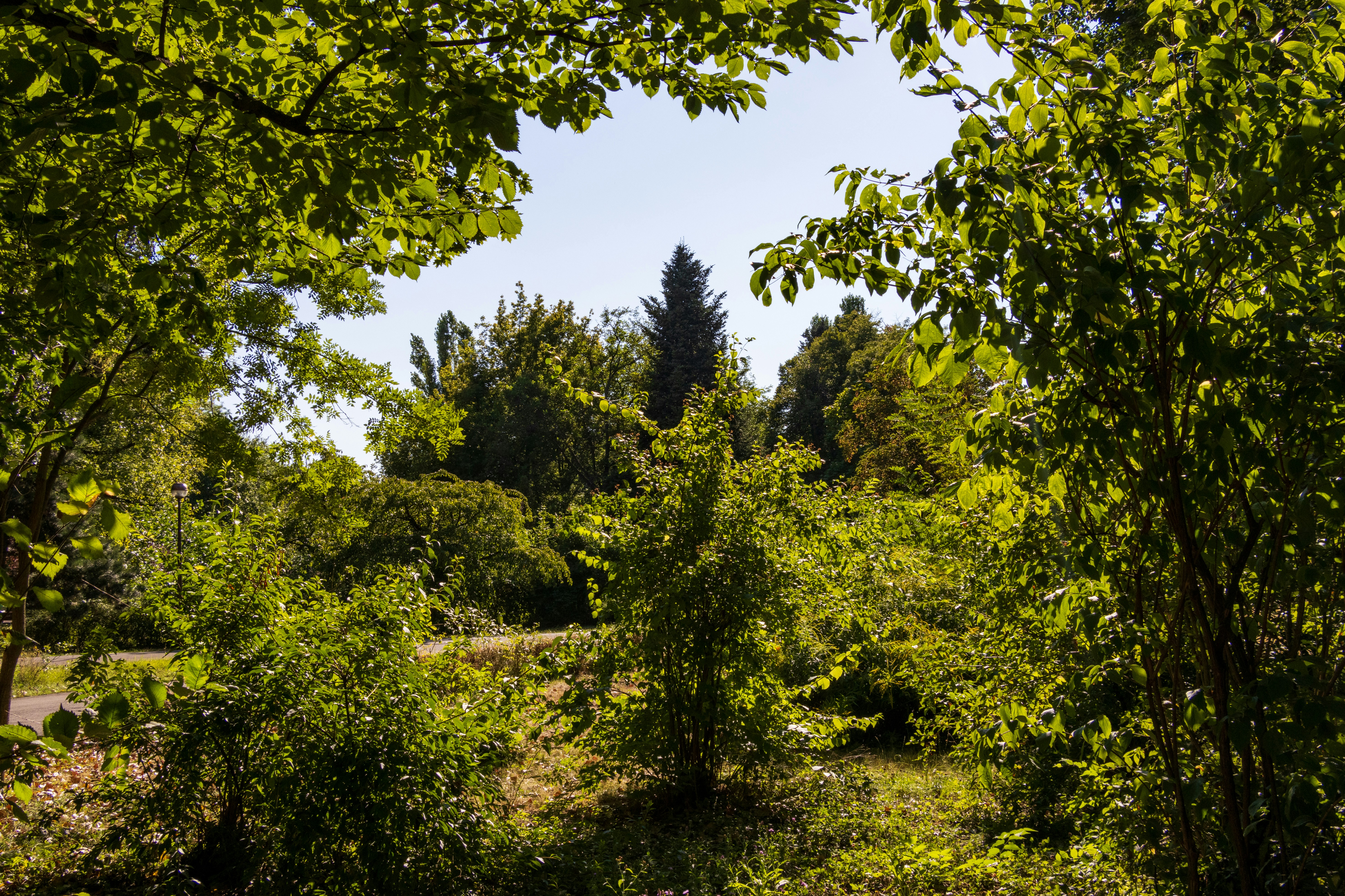 Photo by mechaowlstudios