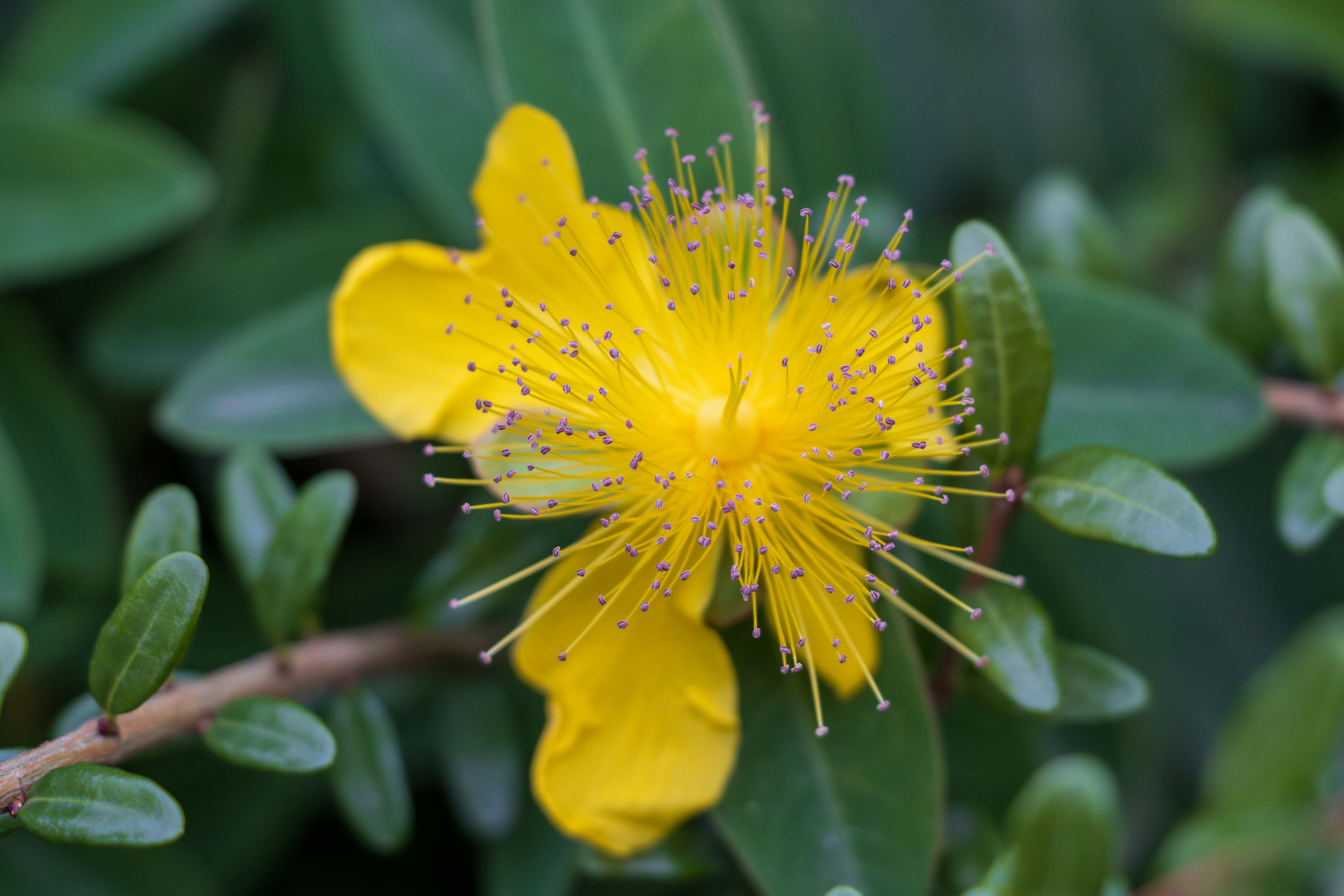 Photo by mechaowlstudios