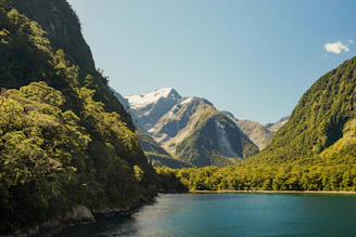 A lake surrounded by green mountains and trees