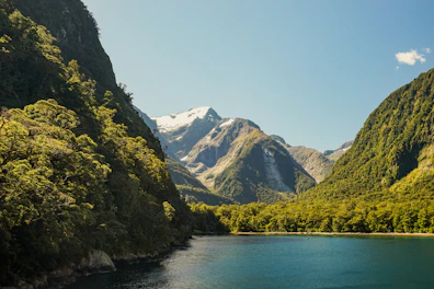 A lake surrounded by green mountains and trees