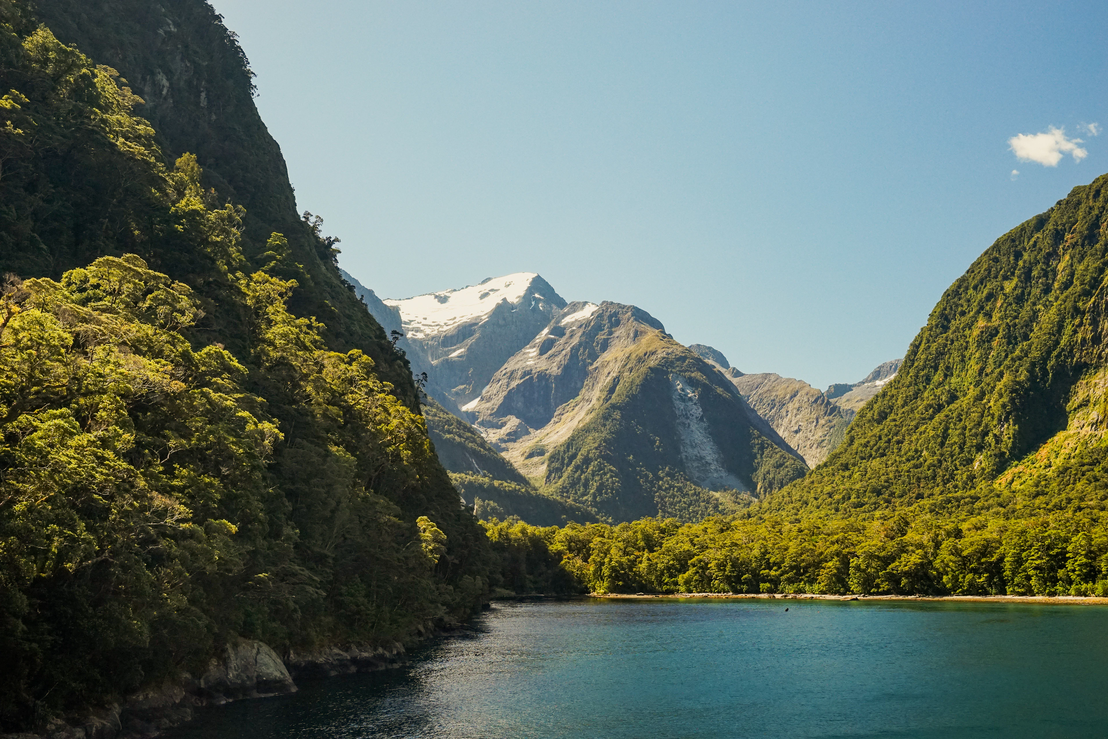 New Zealand