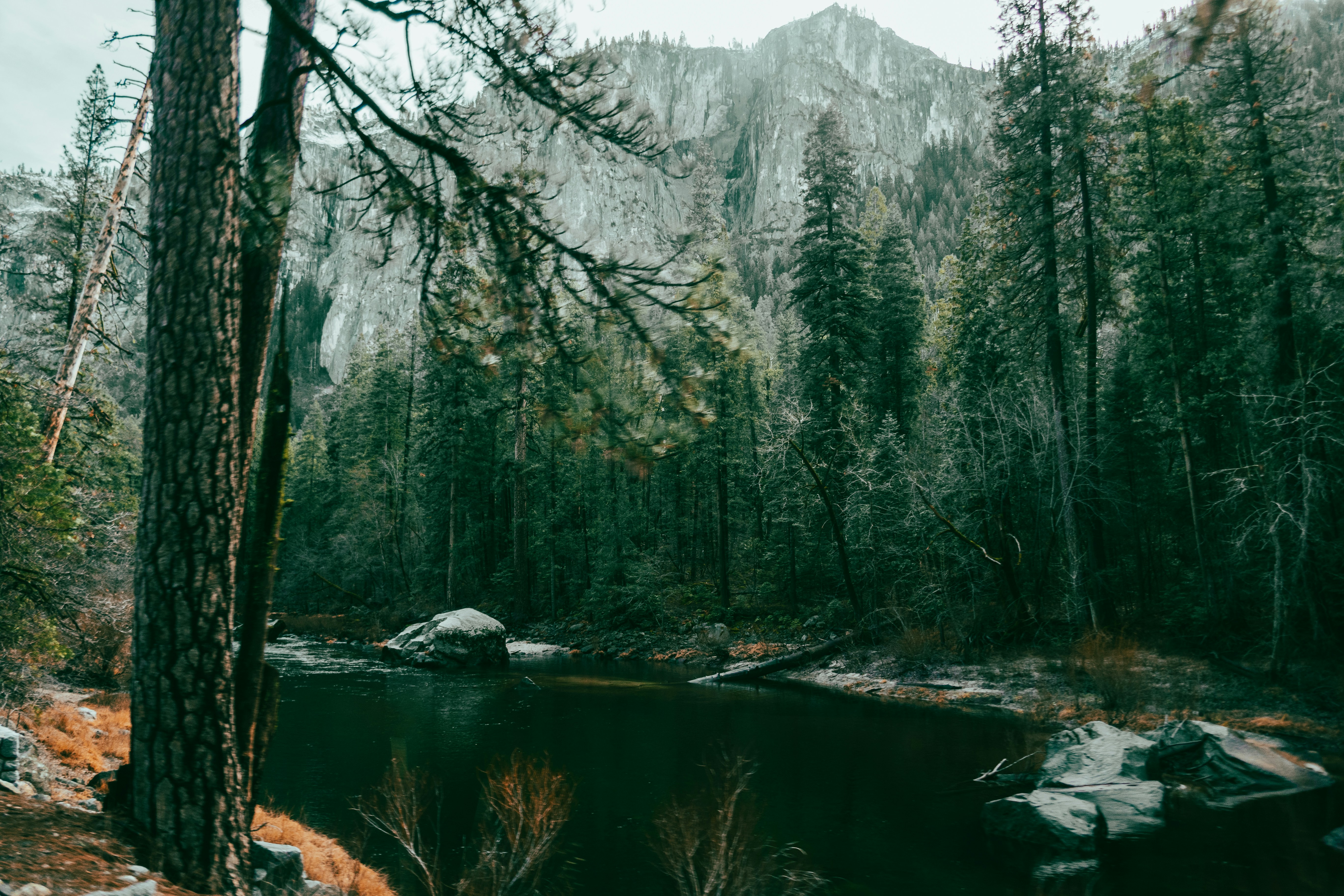 Impressive Improvements In Vision Are On The Horizon Adhering To LASIK, But Are You Prepared For The Critical Recuperation Recommendations That Can Assure Your Success?