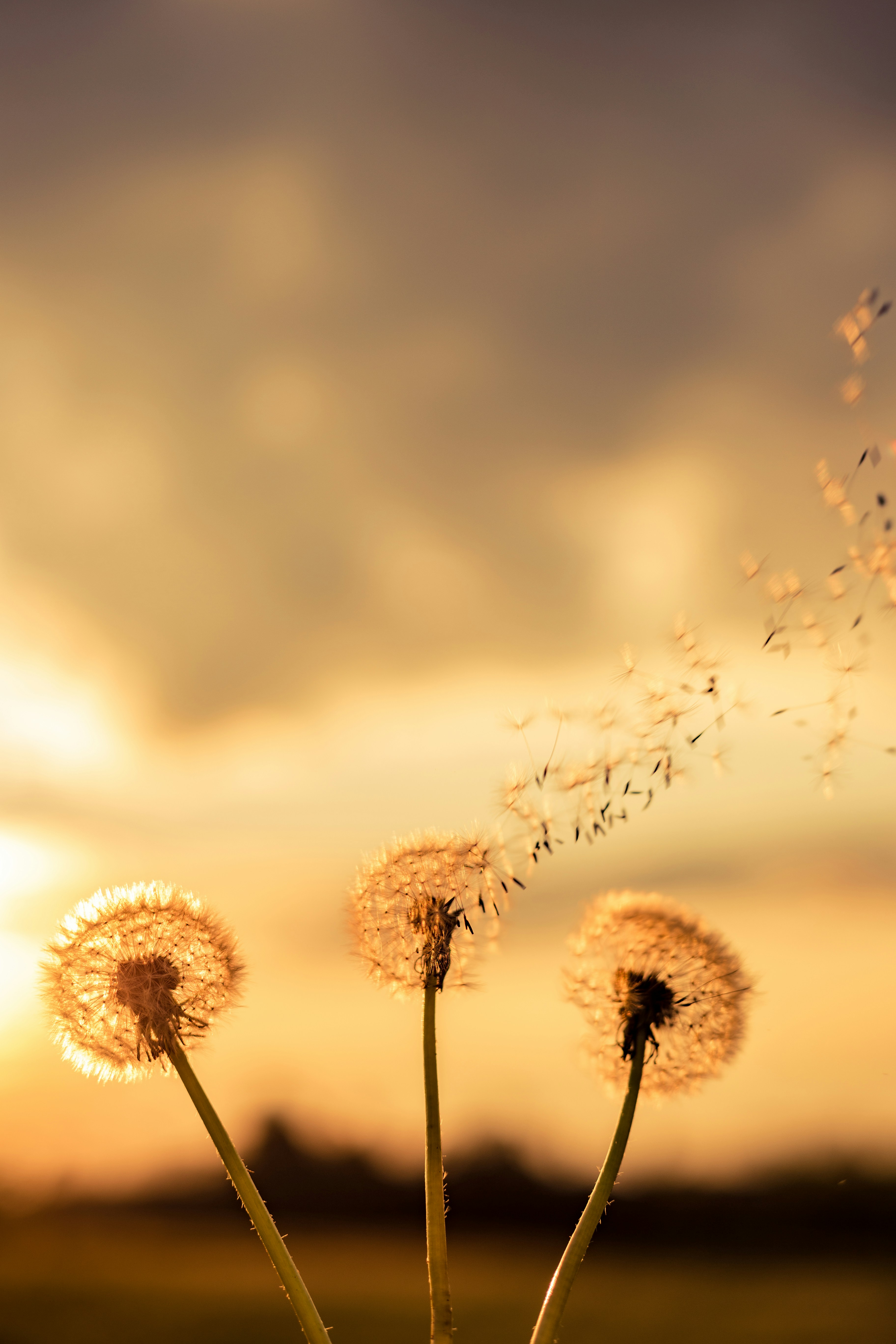 Windows在资源管理器中访问CentOS挂载目录