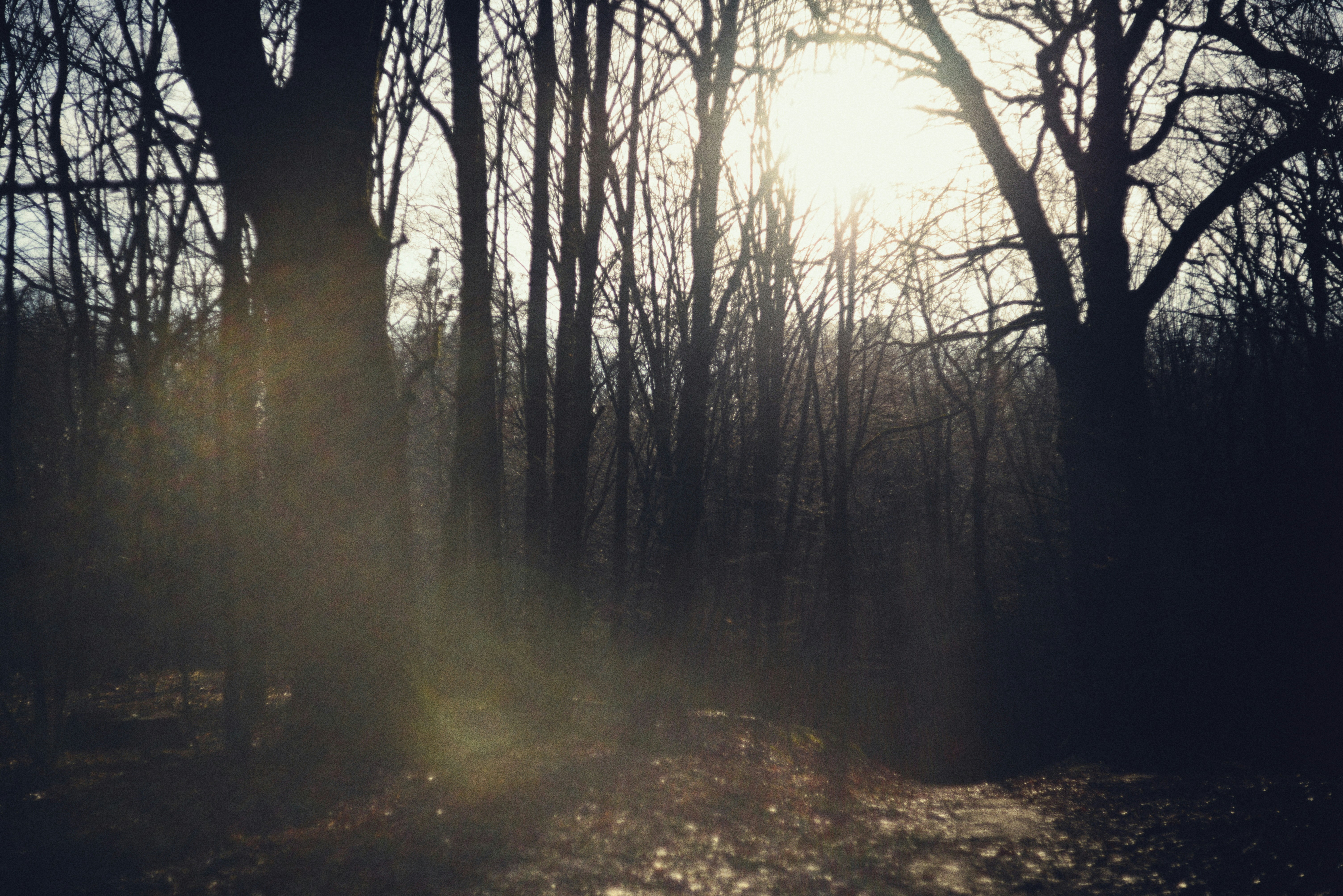 Photo by cherstve_pechivo