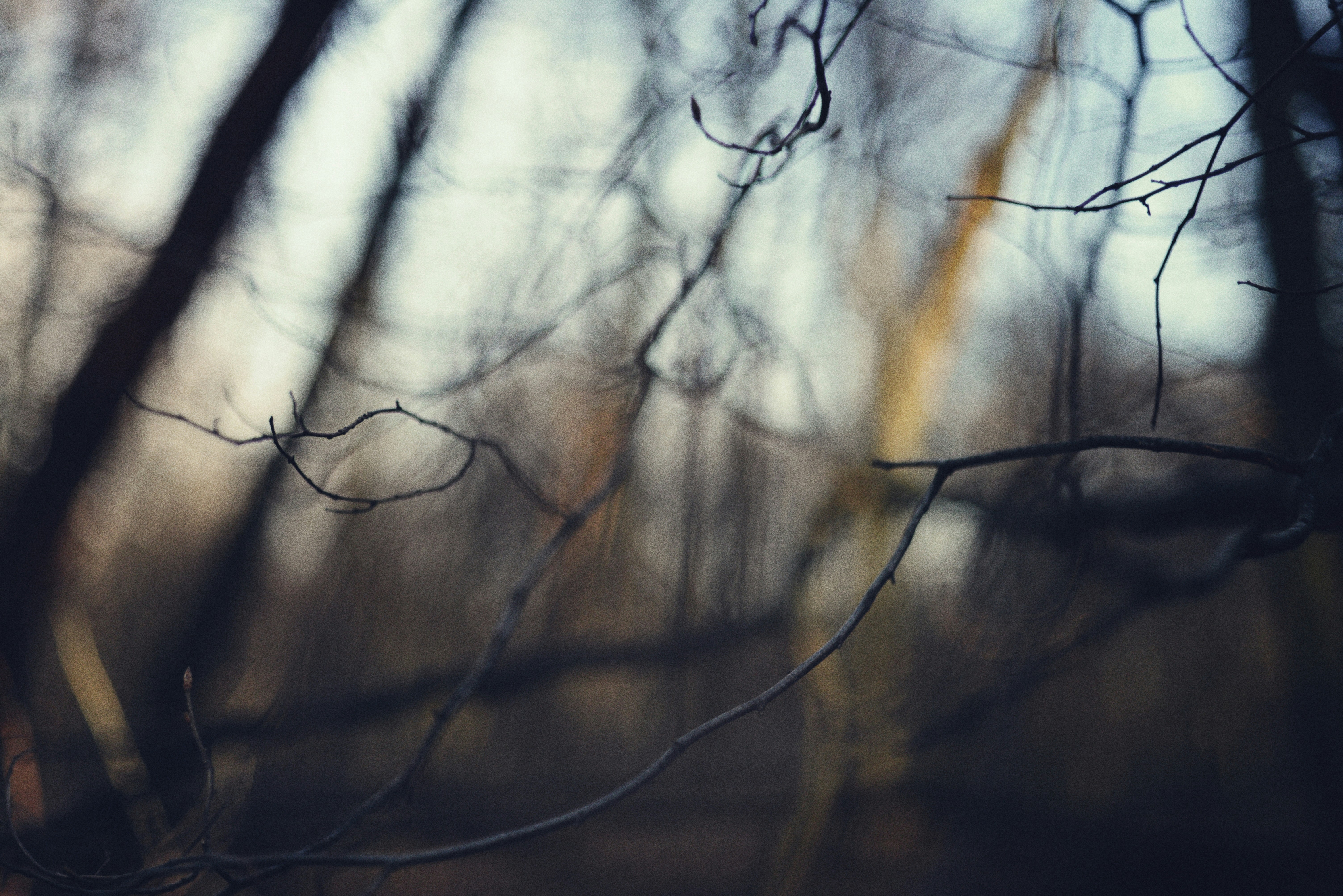 Photo by cherstve_pechivo