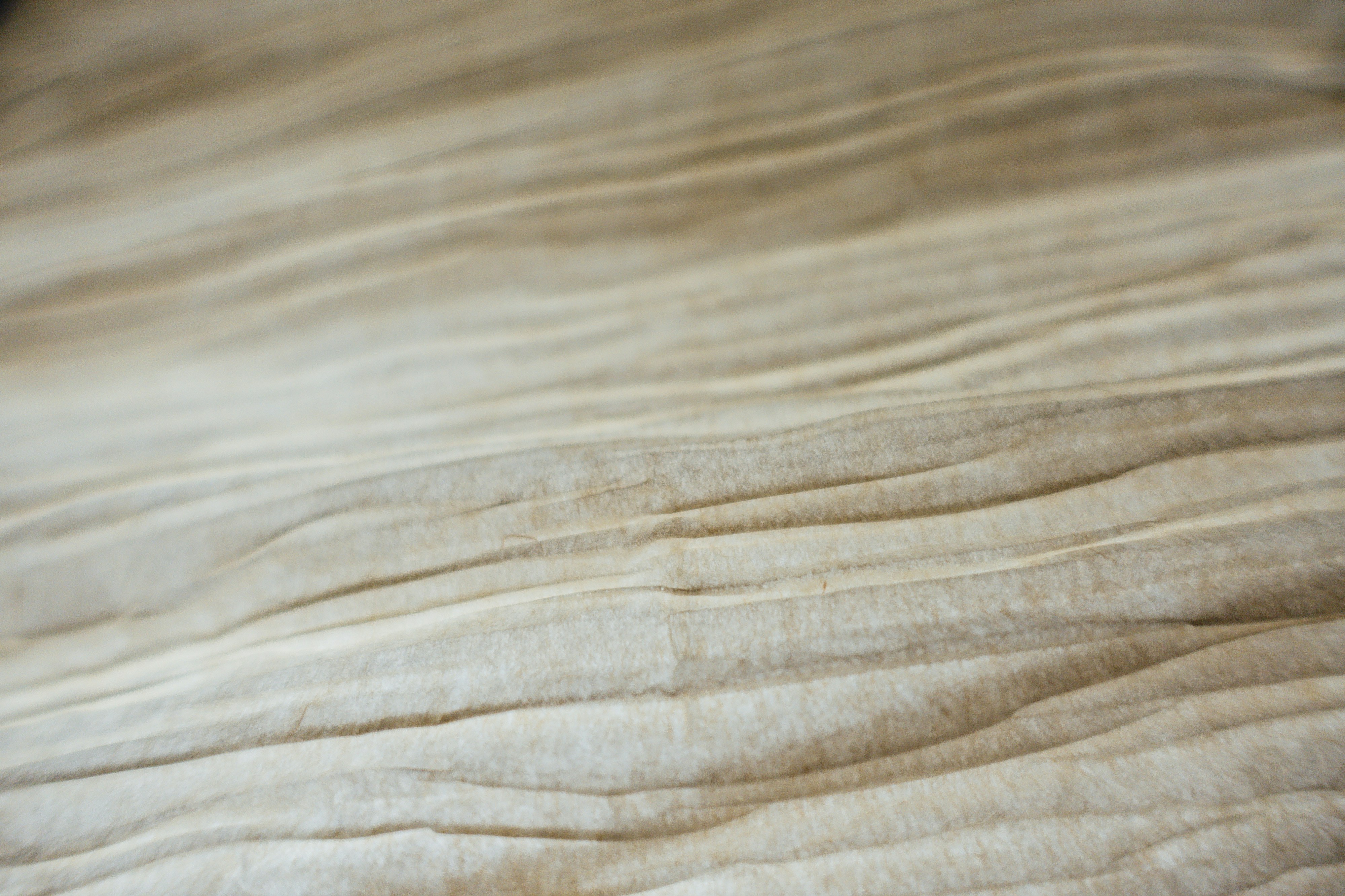 Photo by markuswinkler