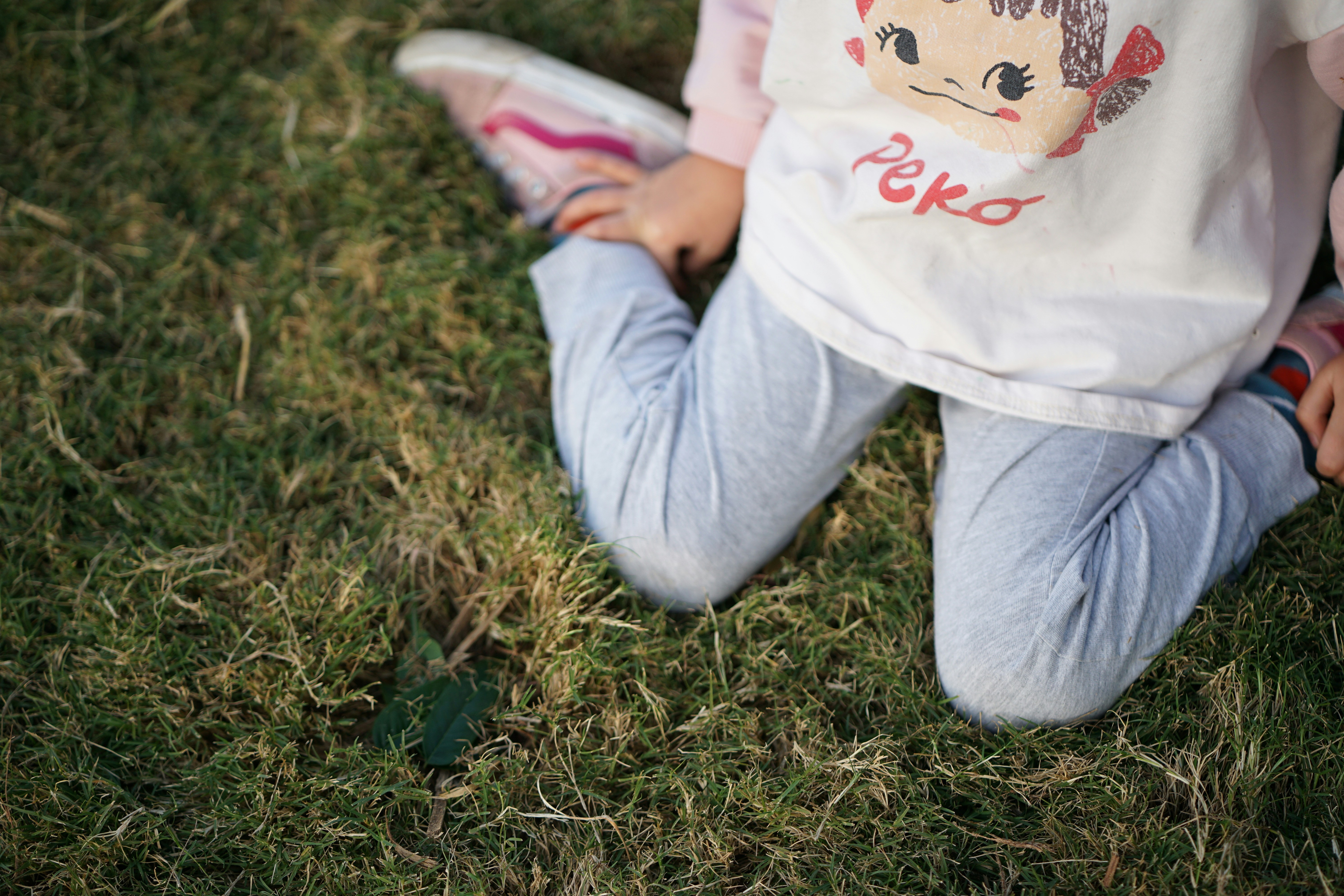 A little girl sitting in the grass with a frisbee