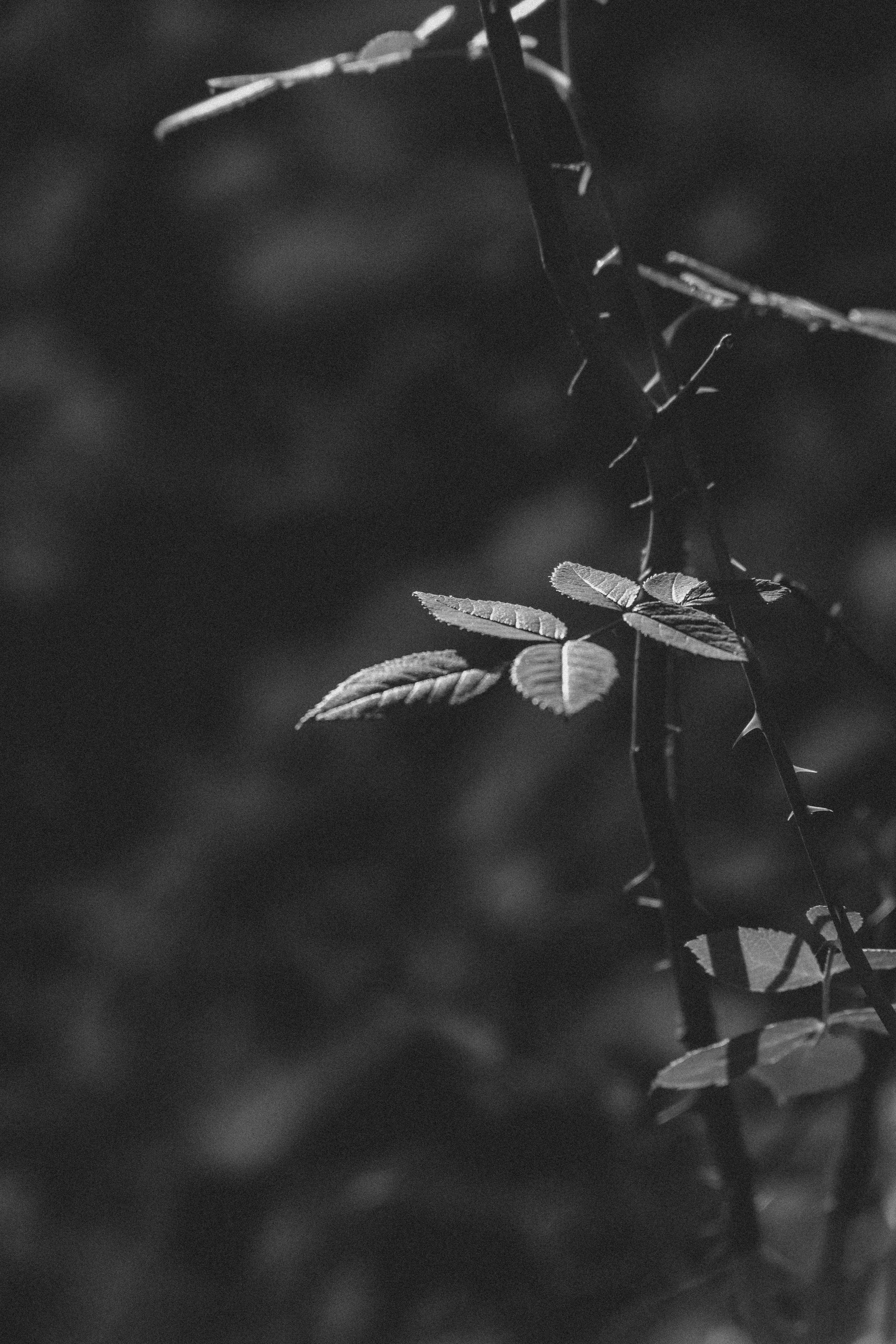 Photo by annaspoljar