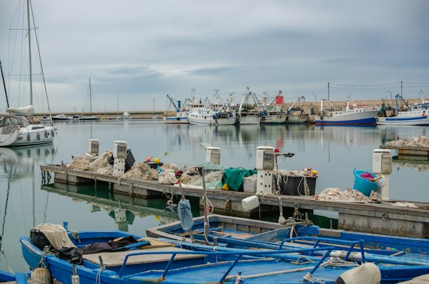 Bisceglie
