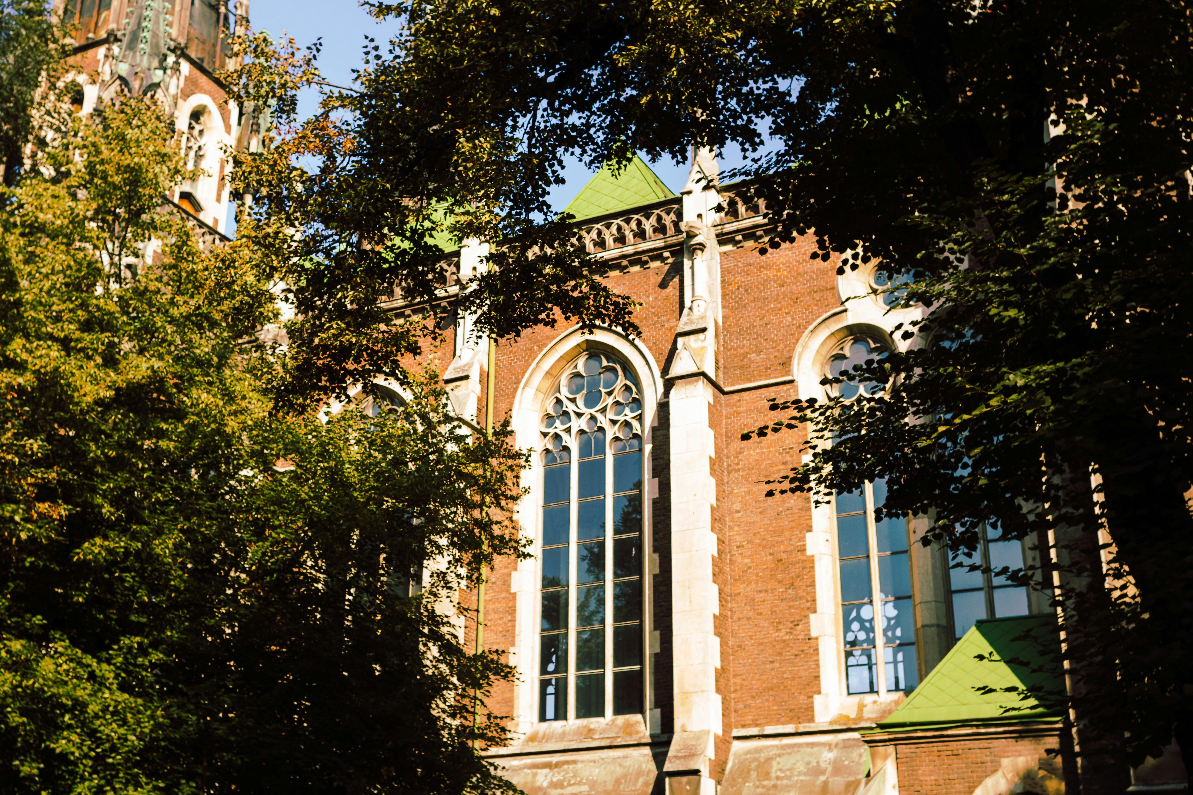 Photo by olena_mariia