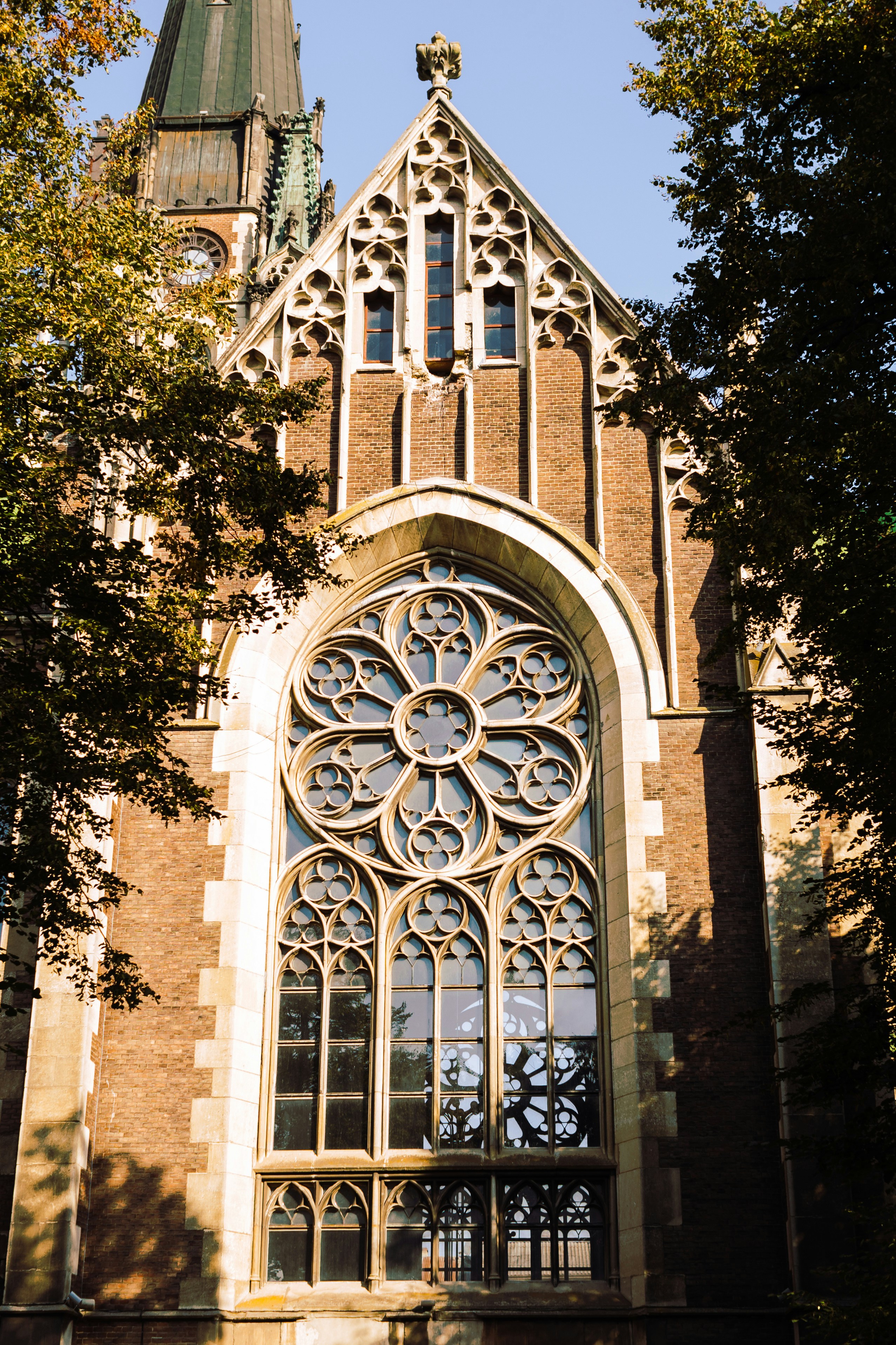 Photo by olena_mariia