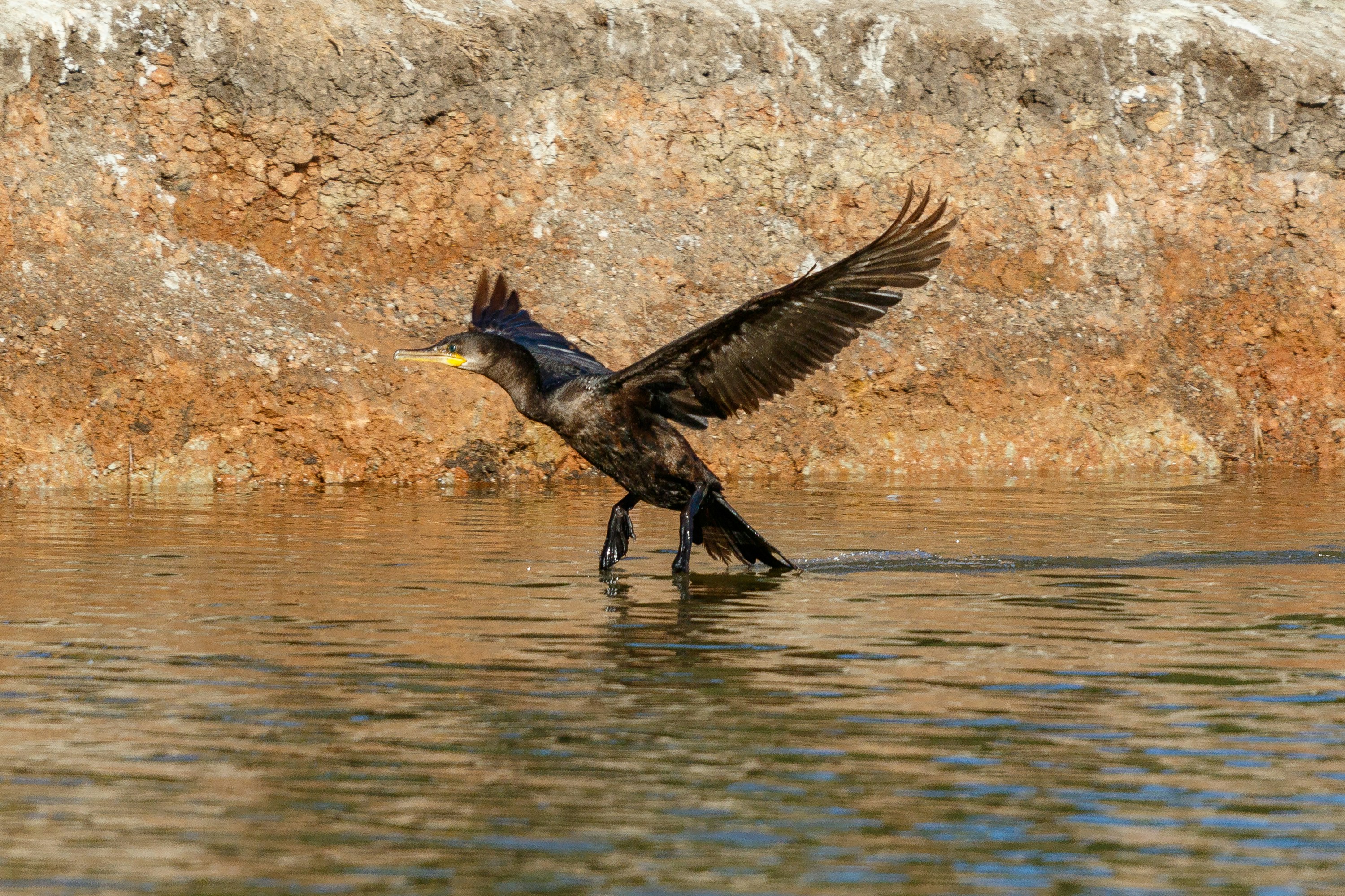 Photo by thirdcoastdad