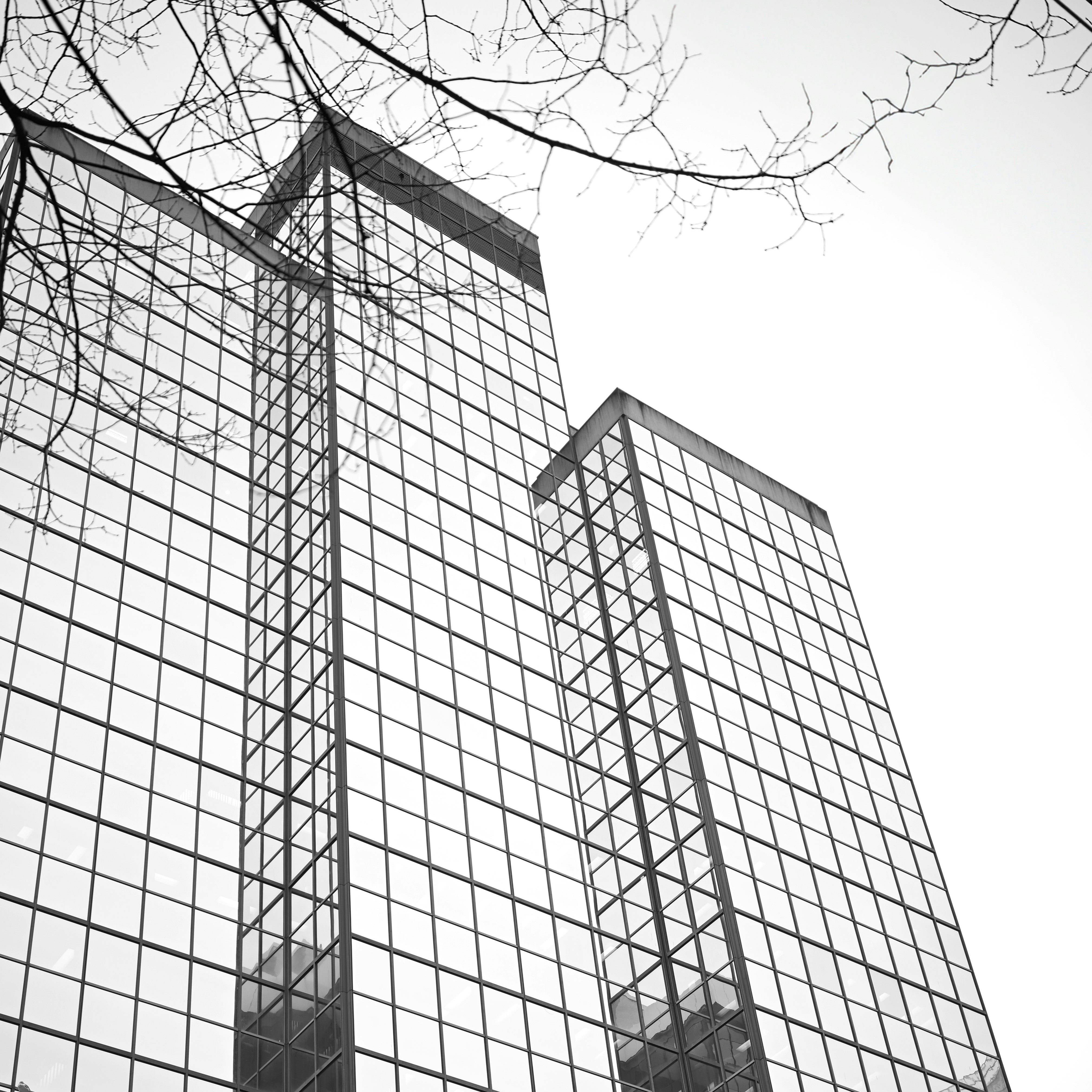 Photo by jonathankslim