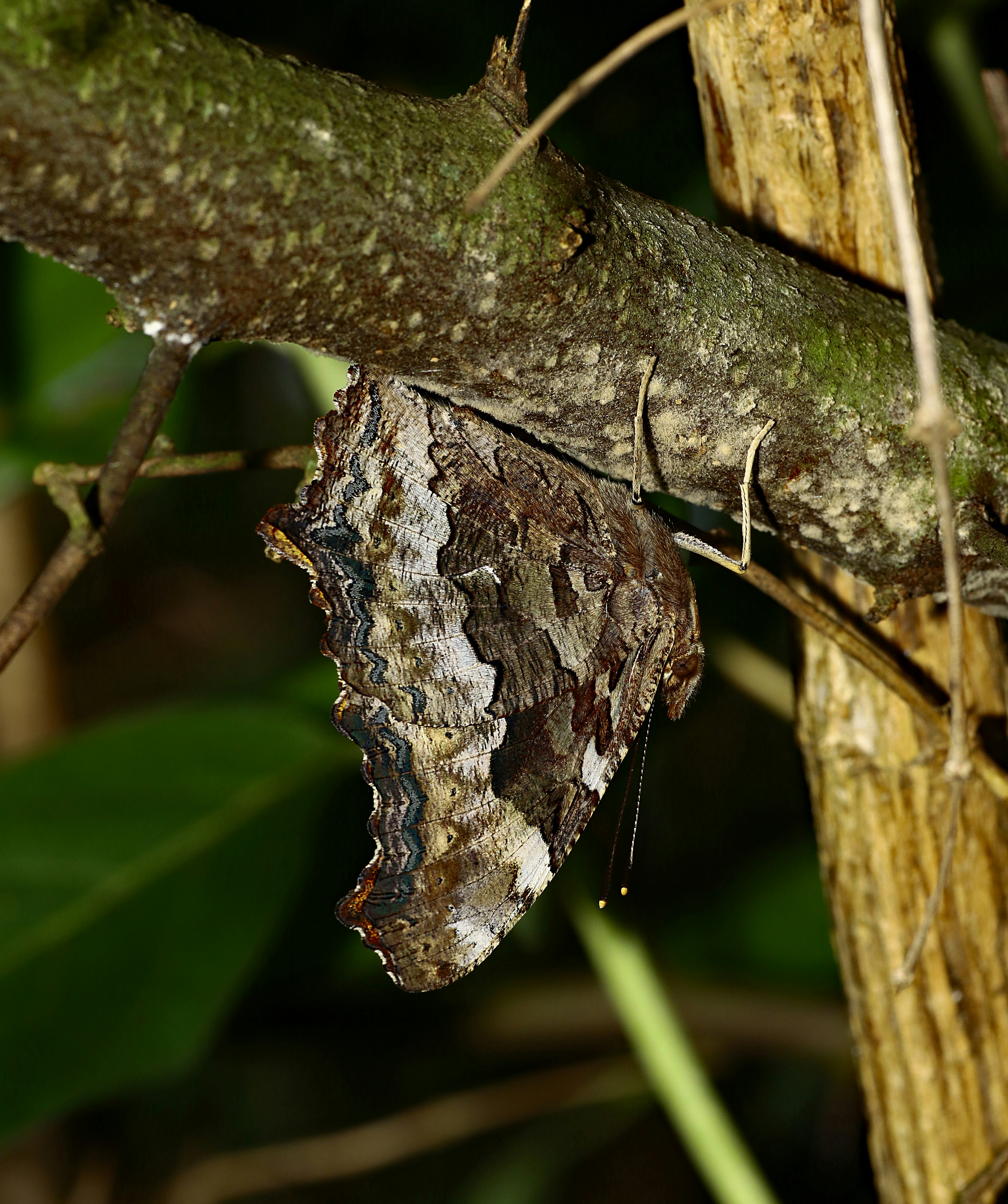 Photo by telliottmbamsc