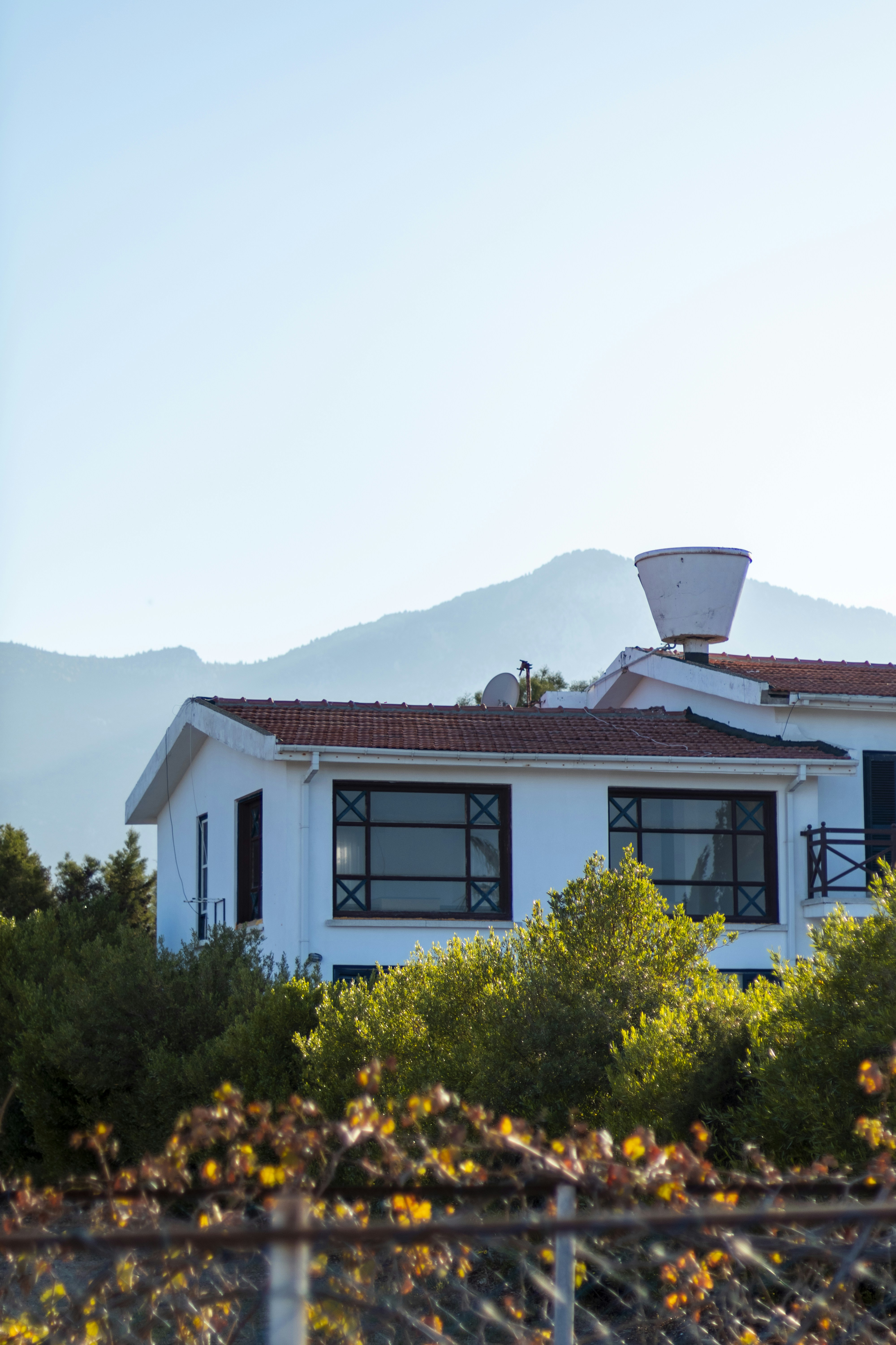 Photo by david_dintsh