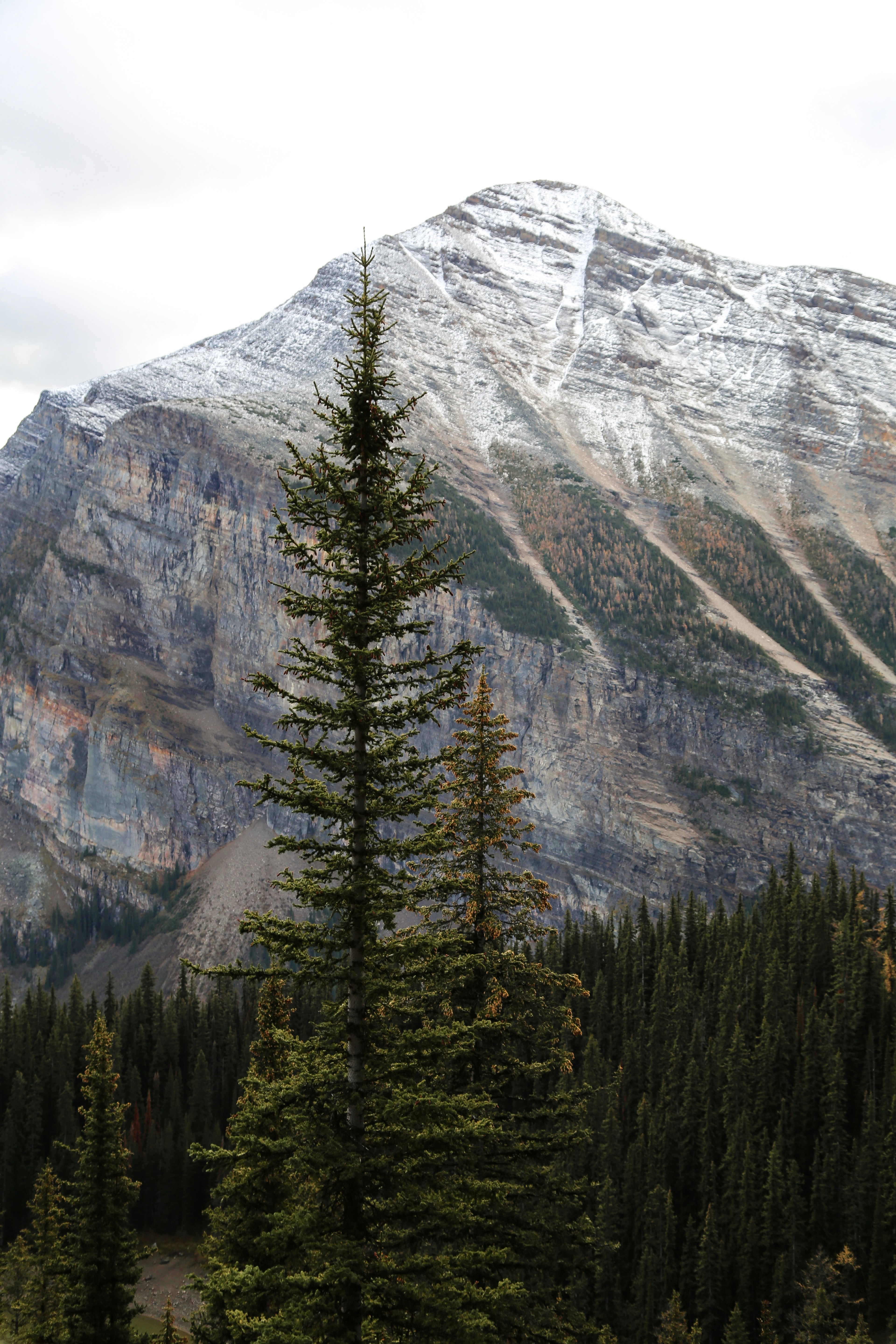 Photo by sofiatheexplorer