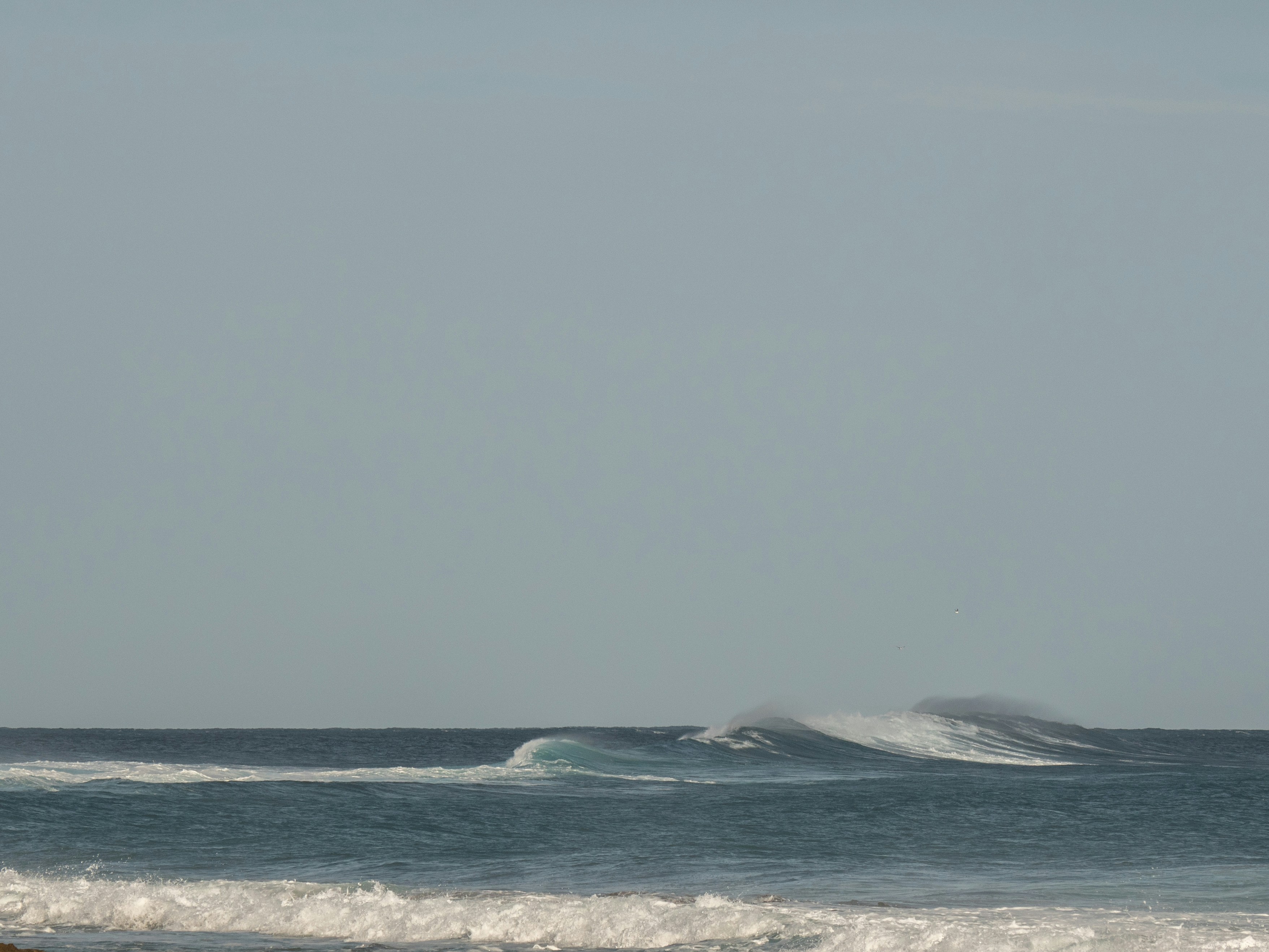 photo-1735954555740-b526f8e31fbb?ixid=M3wxMjA3fDB8MXxzZWFyY2h8MjI5Nnx8U3VyZmluZyUyMHNjaG9vbCUyMGluJTIwQmFsaXxlbnwwfHx8fDE3NTIyNDQ5MTl8MA%5Cu0026ixlib=rb-4.1.0