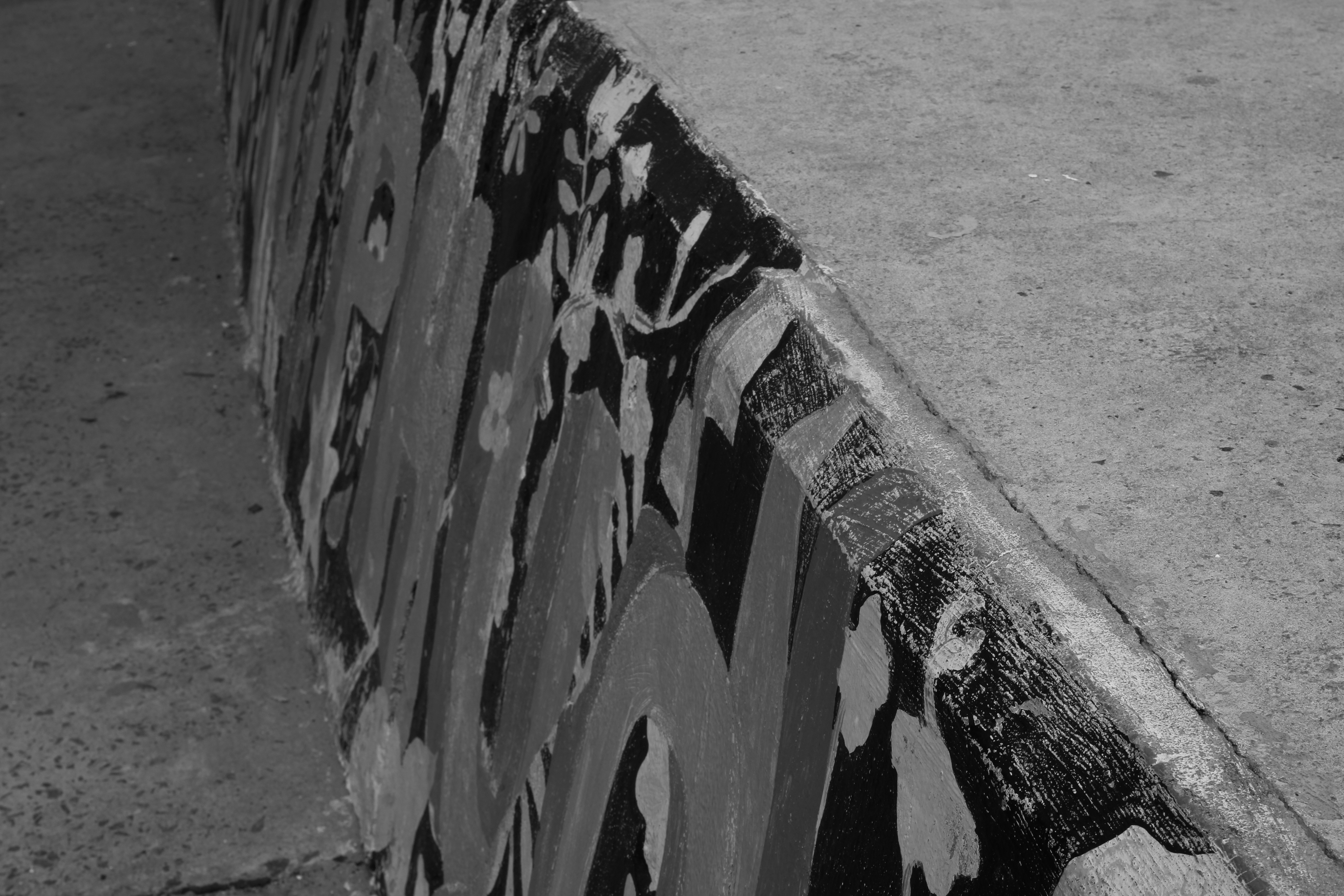 Photo by nganvvo1105