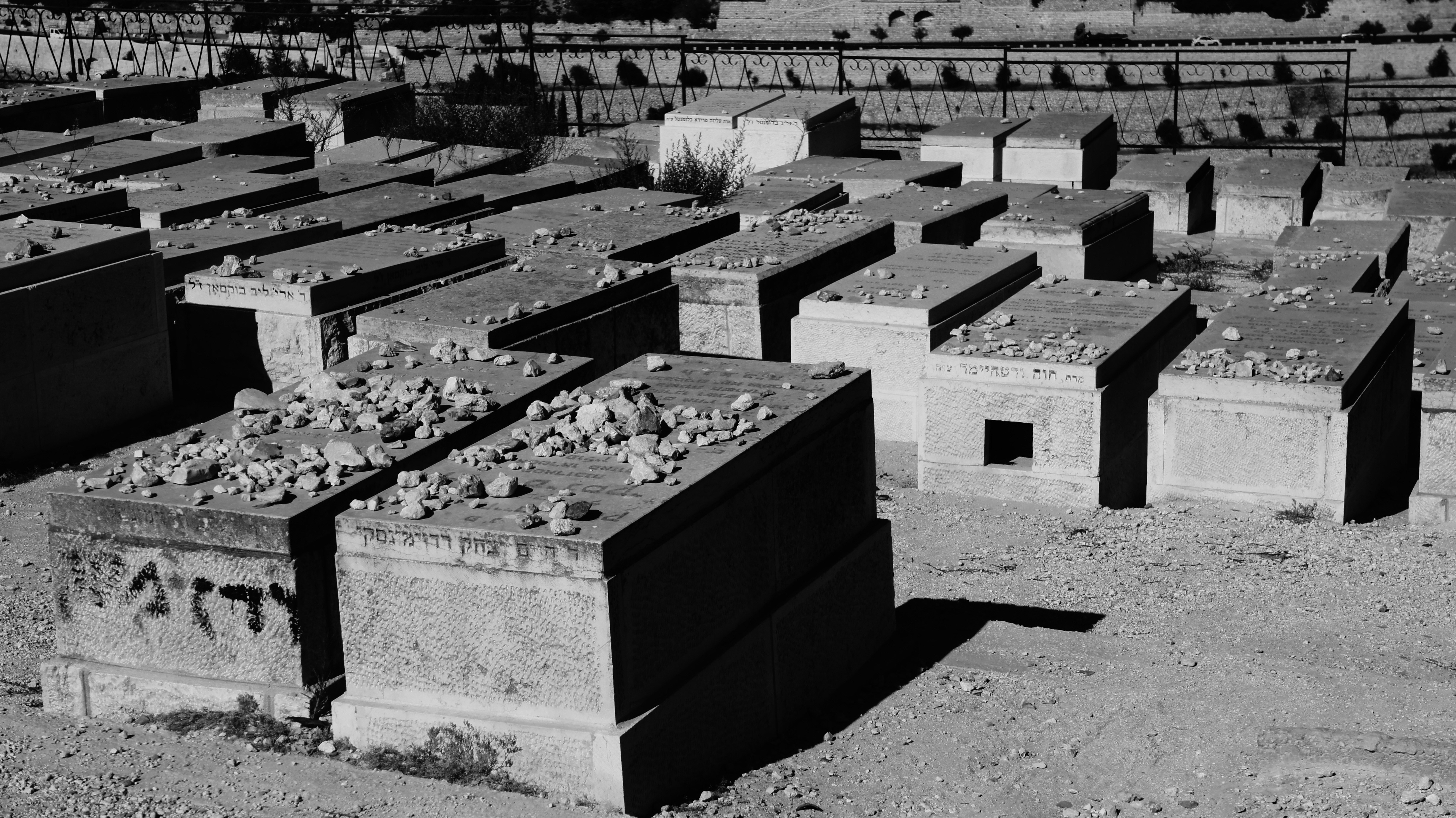 Photo by katalinsalles