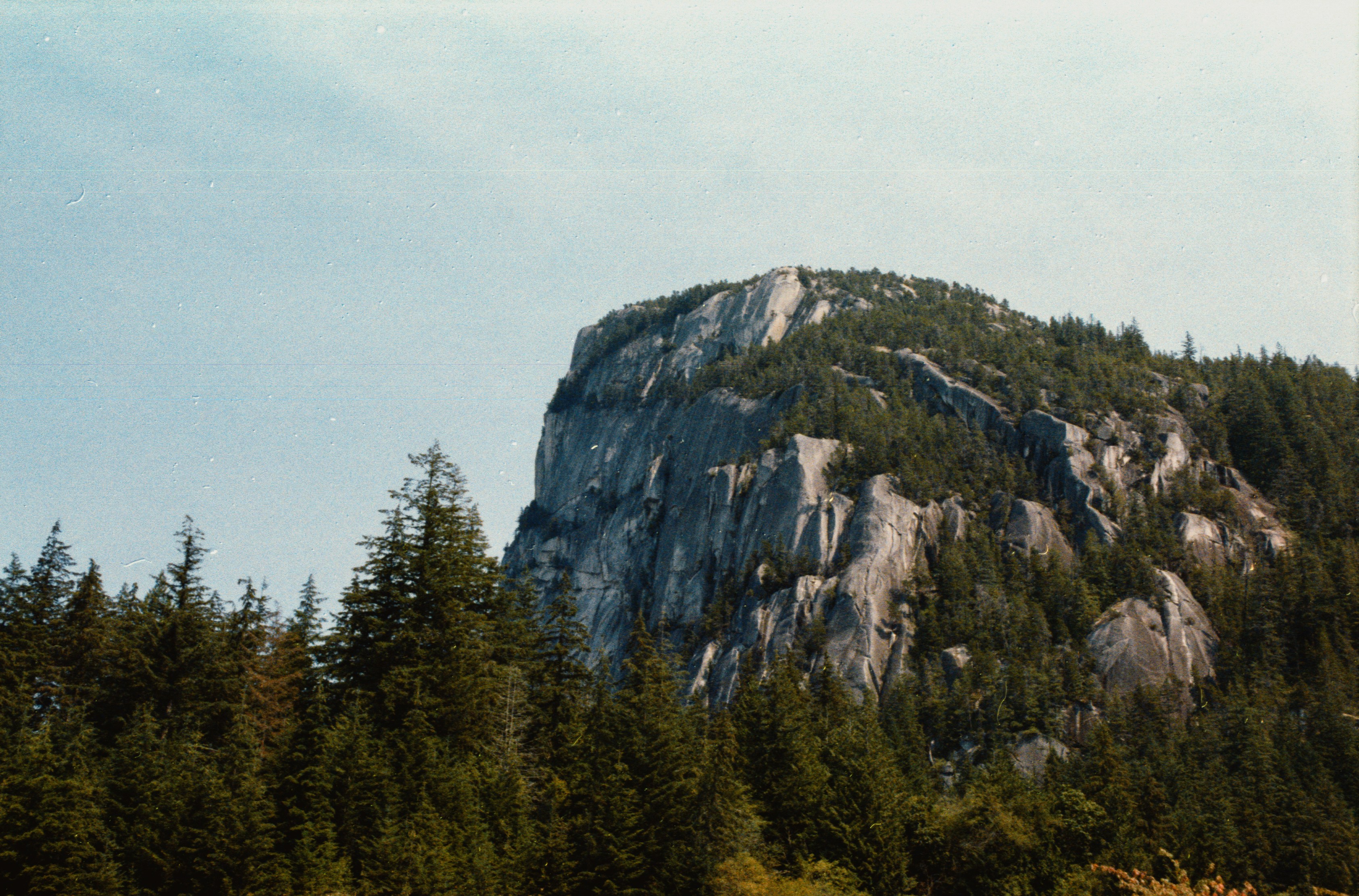 Photo by albertstoynov