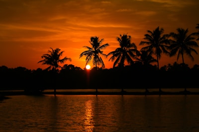 A sunset over a body of water with palm trees